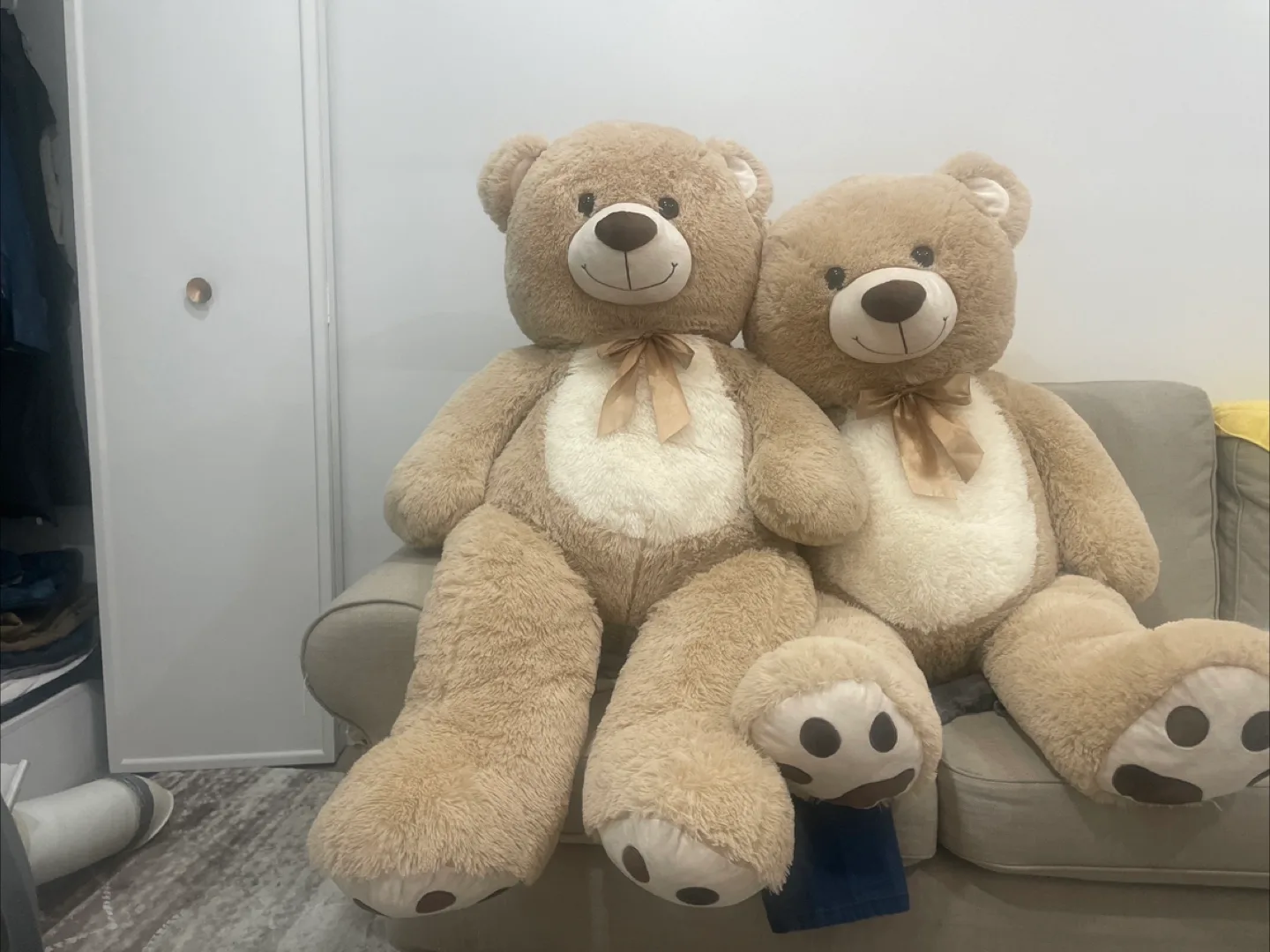 Pair of Cozy Teddy Bears image indicator(3)