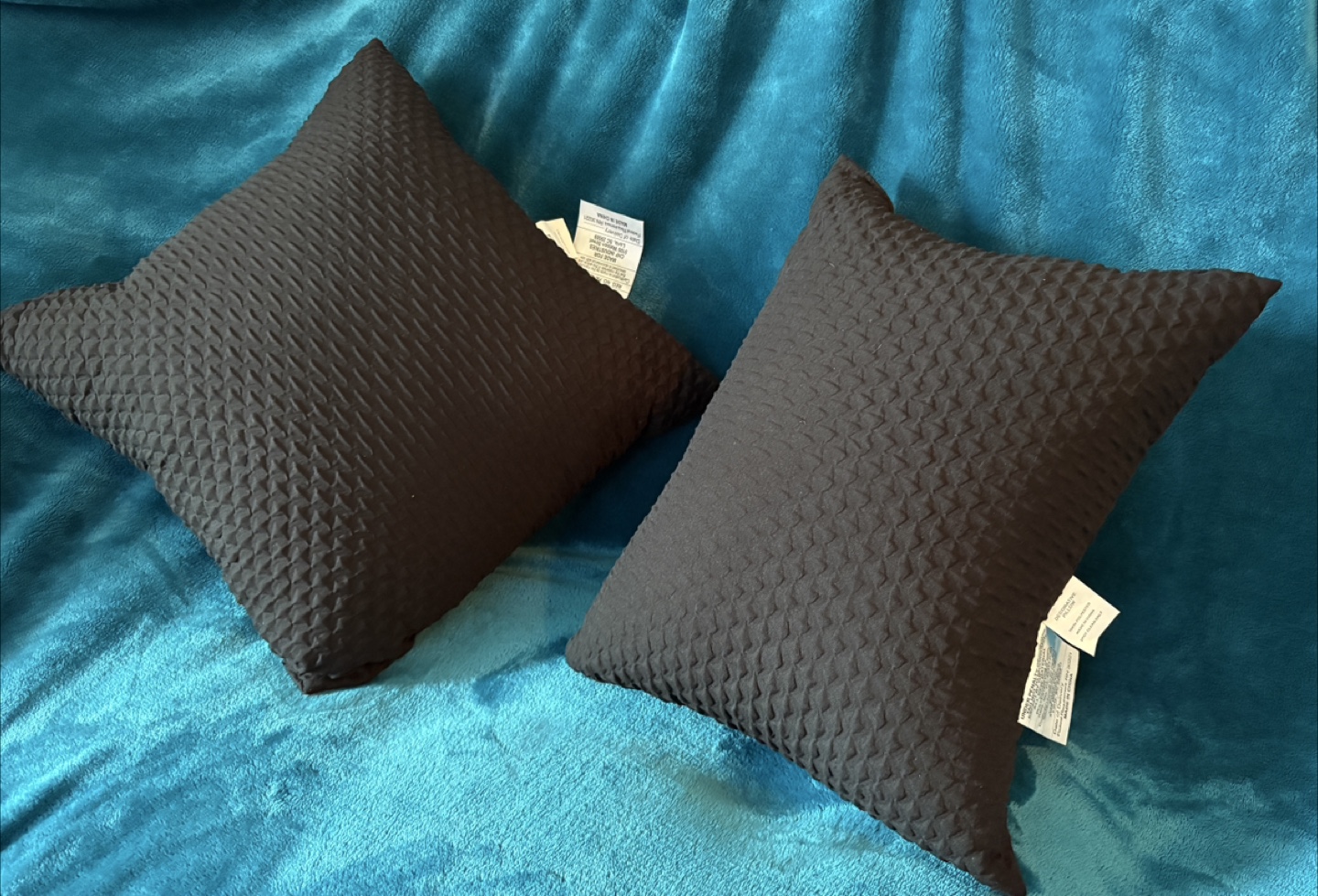 DKNY Throw Pillows 🥕