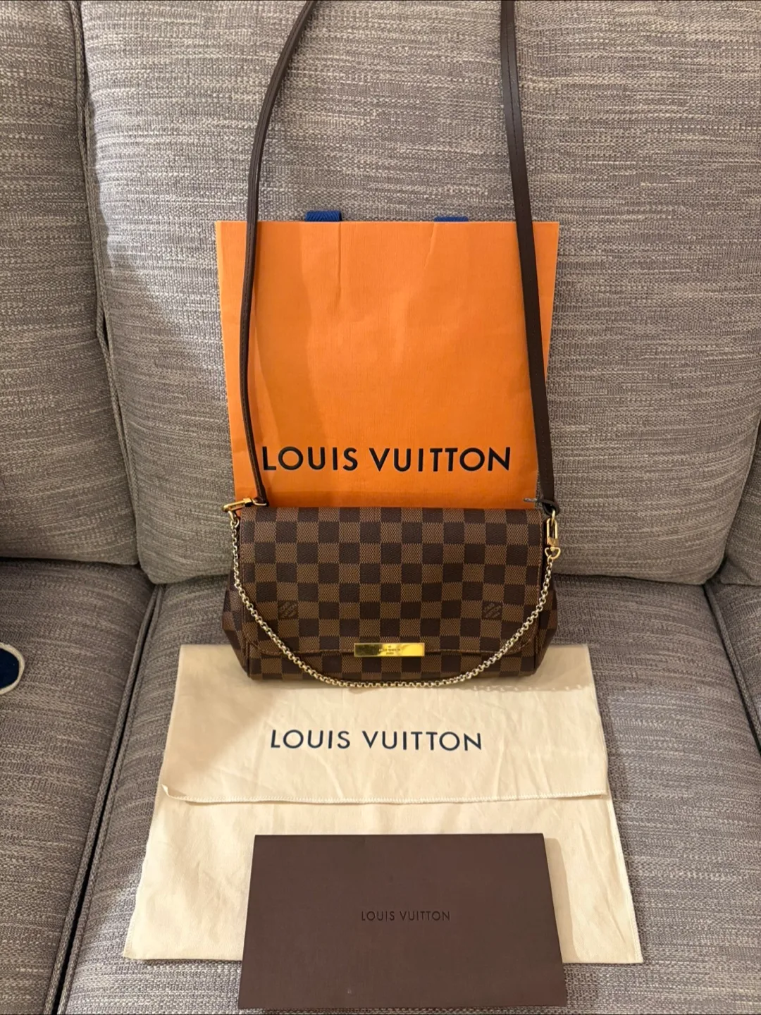 Louis Vuitton Damier Ebene Favorite MM Pochette image indicator(9)