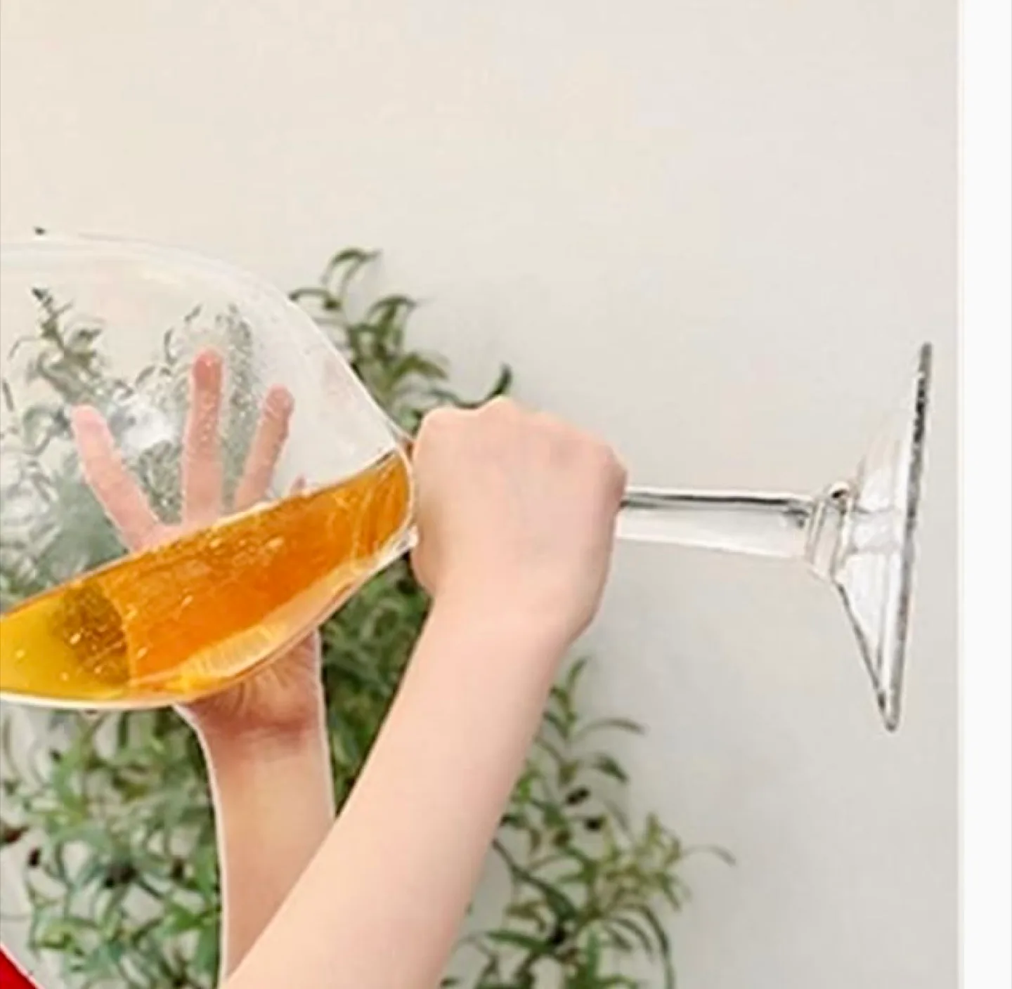 Large Clear Wine Glass for $50 image indicator(5)