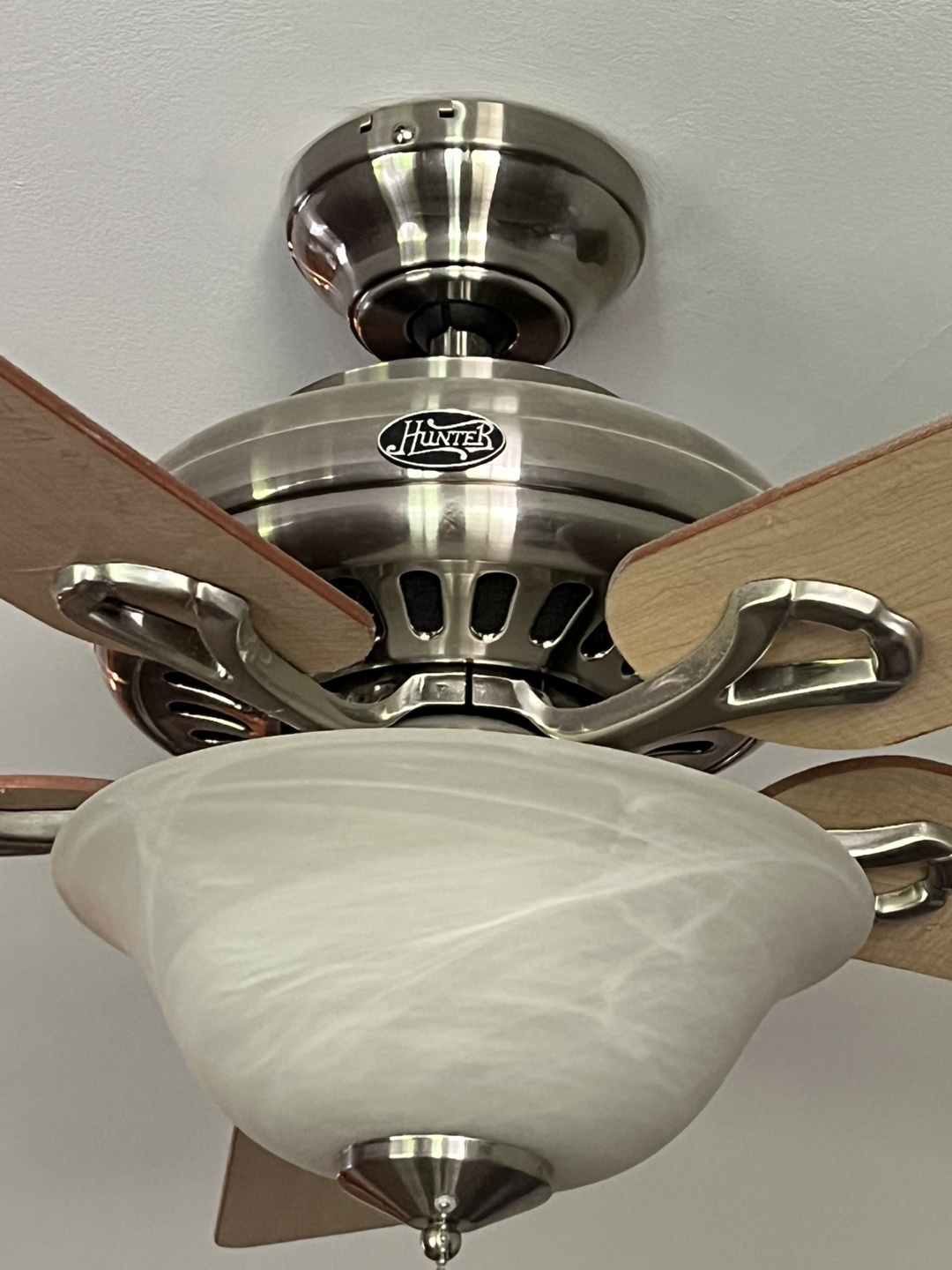 Ceiling Fan with Light Fixture - photo 4