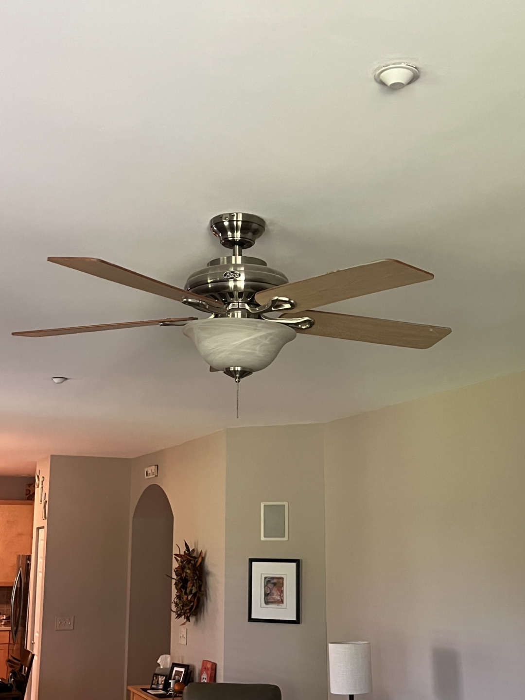 Ceiling Fan with Light Fixture - photo 3