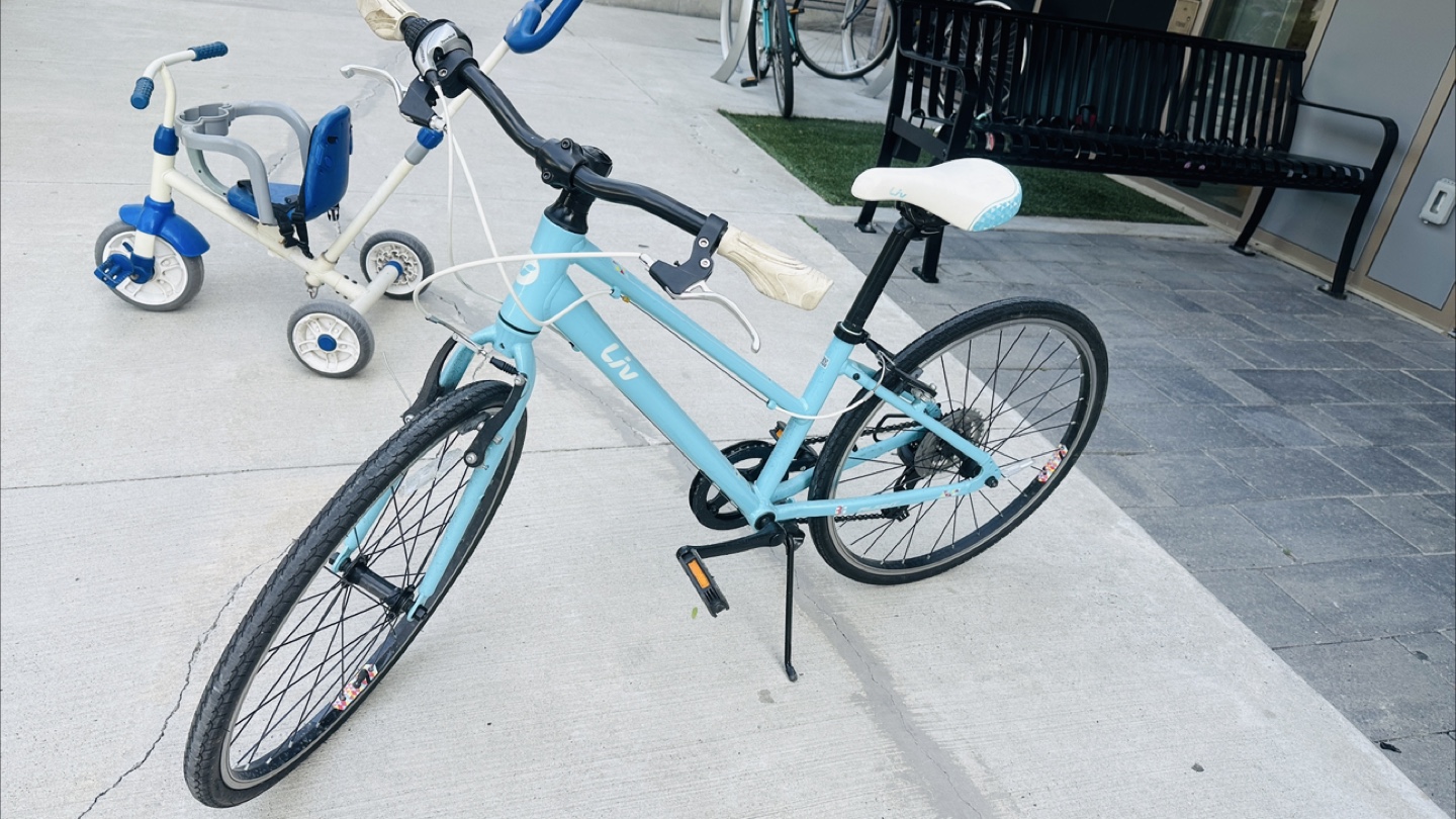 Light Blue Liv Bike