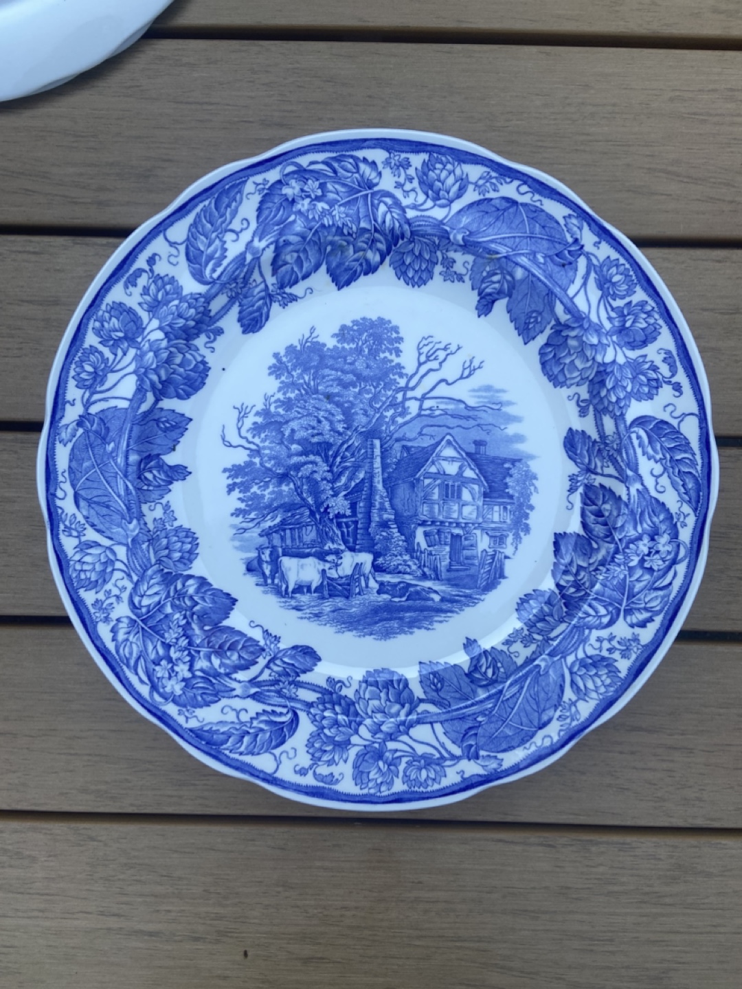 10 Spode Dinner Plates - photo 3