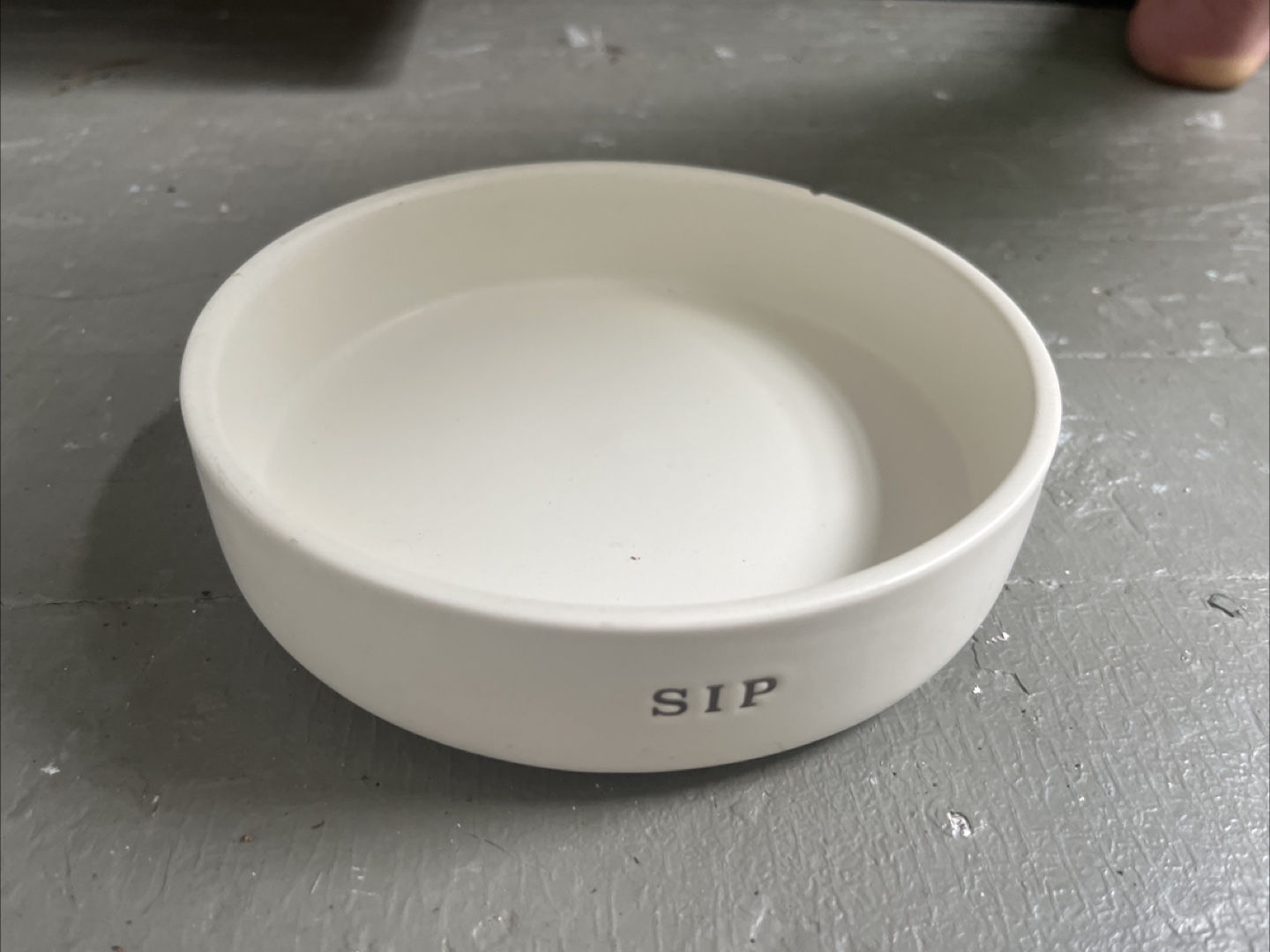 Cat water dish