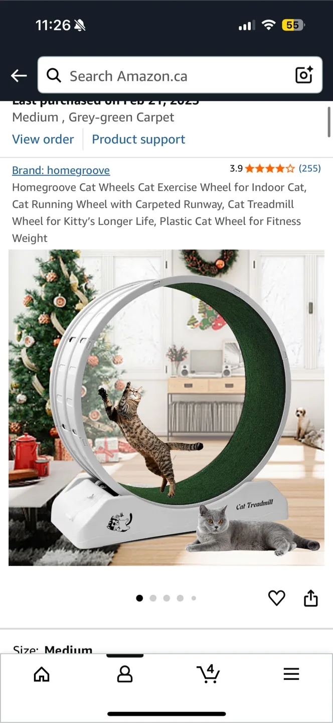 Cat Wheel / Exercise for indoor cats 🐈‍⬛ image indicator(3)