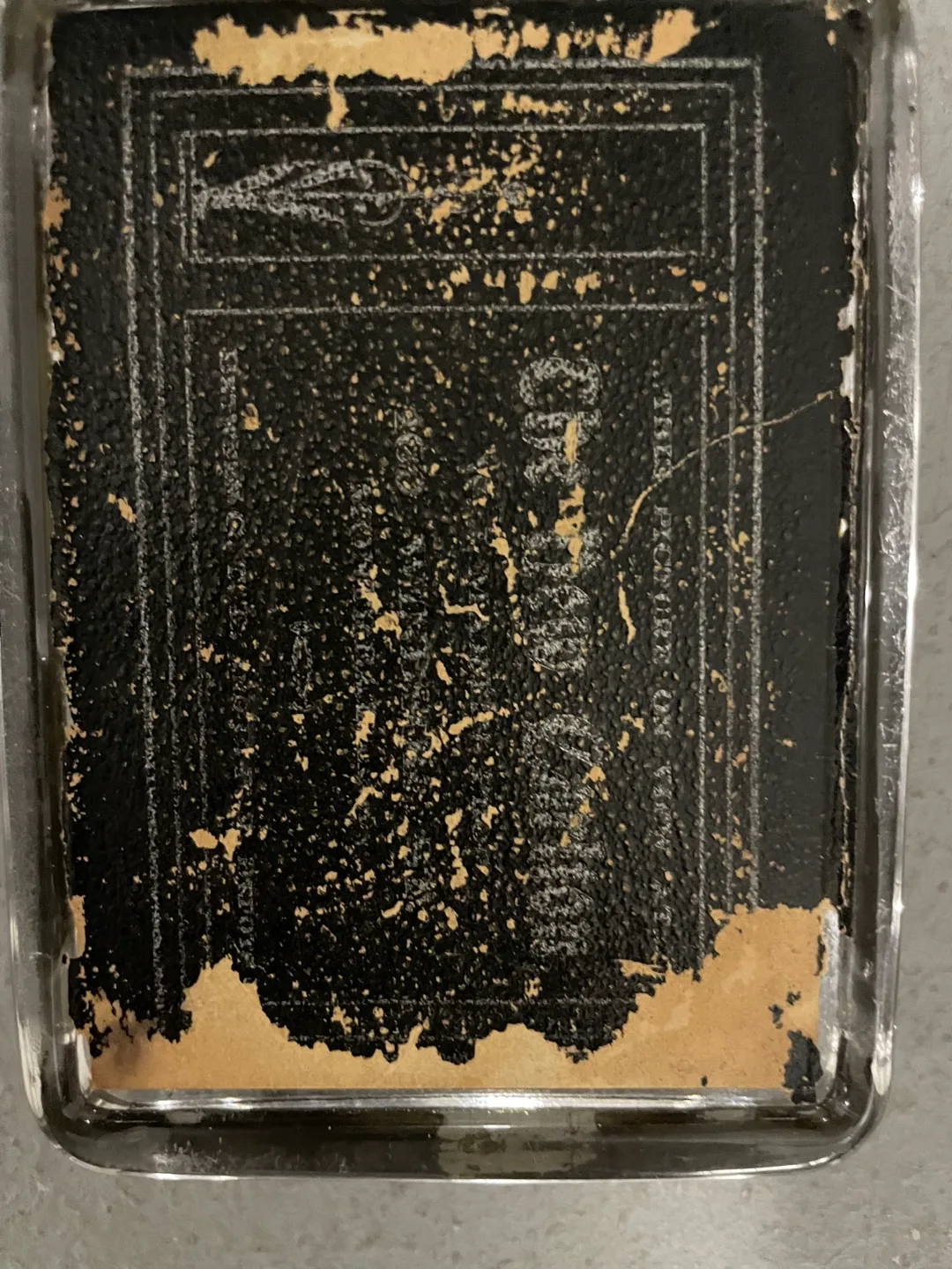 Antique Portrait Photo in  Glass Frame PAPER WEIGHT image indicator(4)