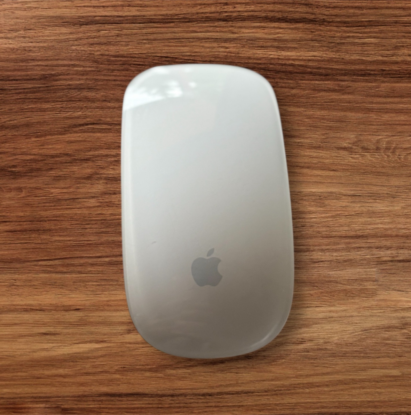 🥕 Apple Magic Mouse