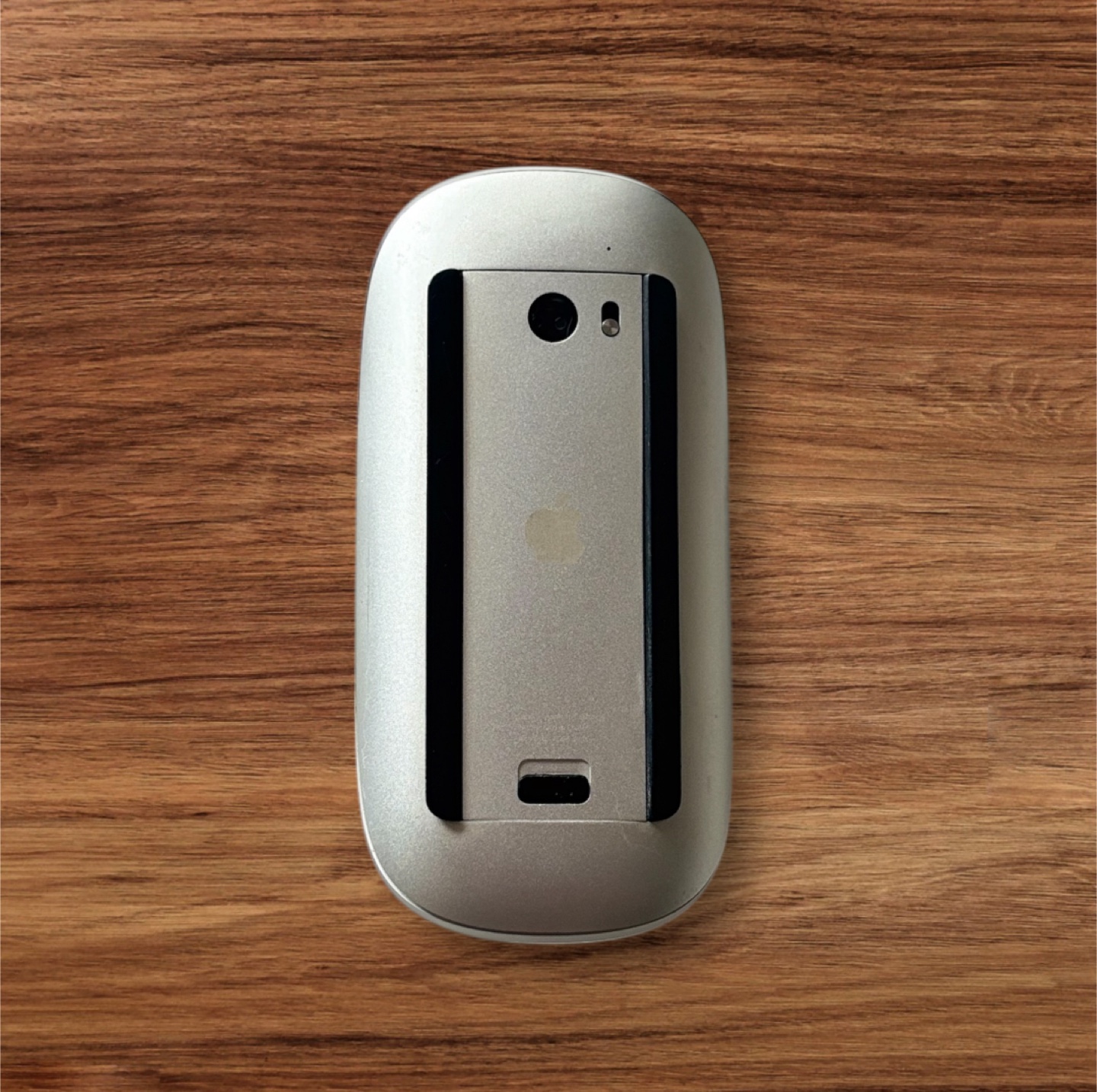 🥕 Apple Magic Mouse - photo 2
