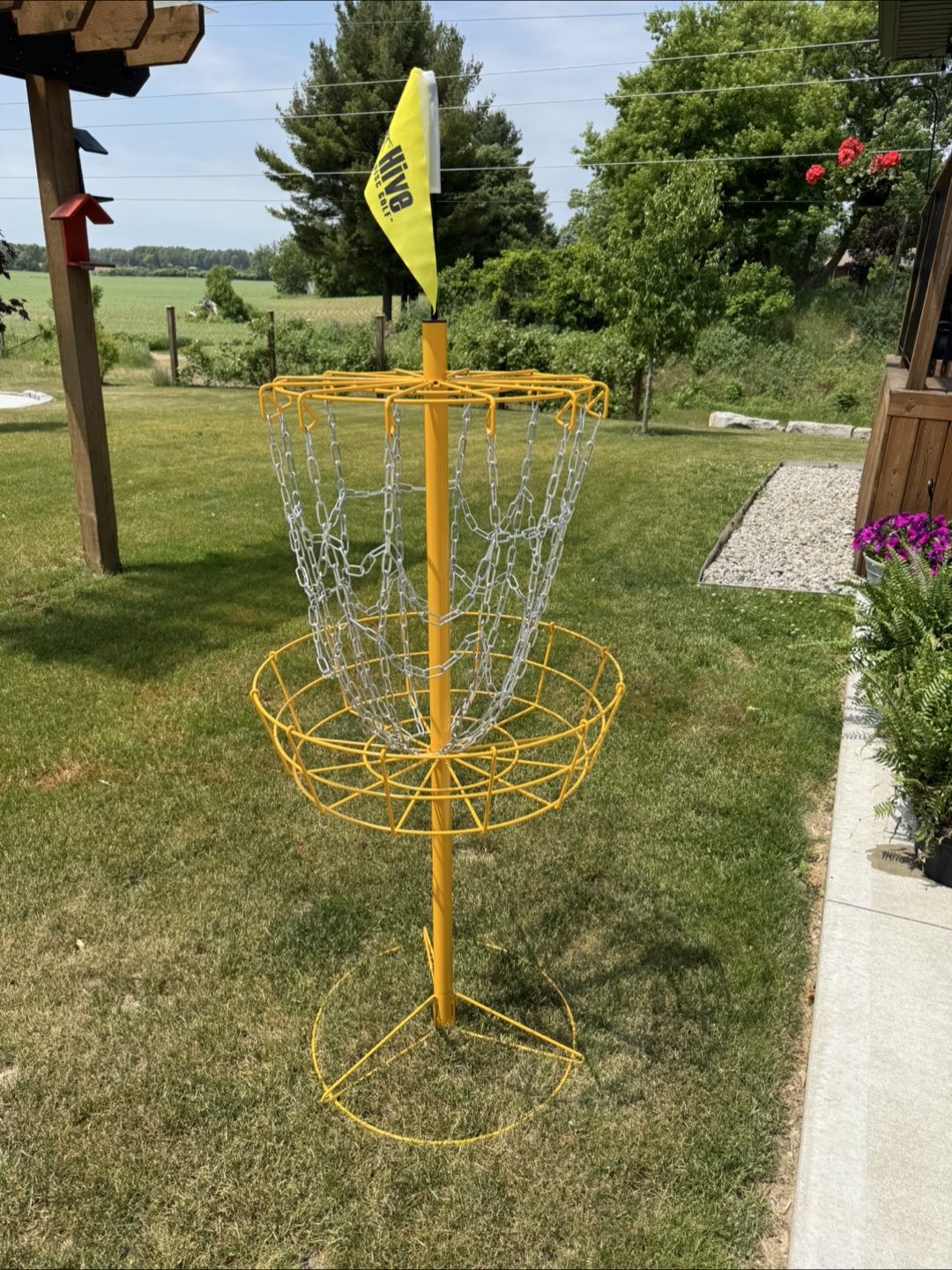 Disc Golf Basket