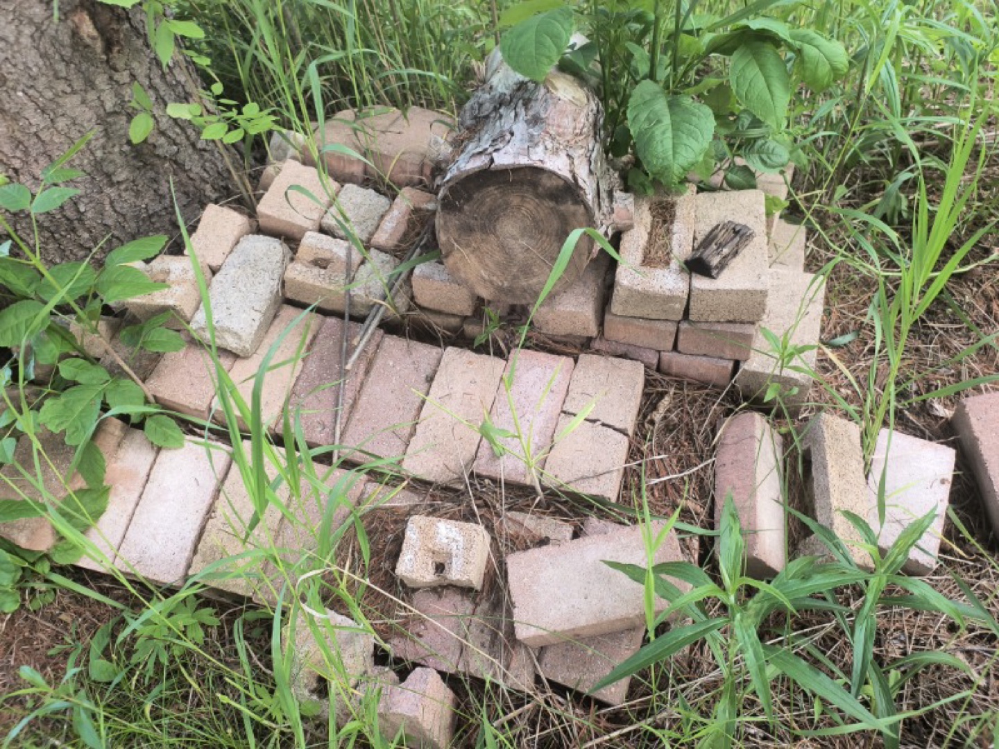 Bricks for Landscaping or Building - photo 3