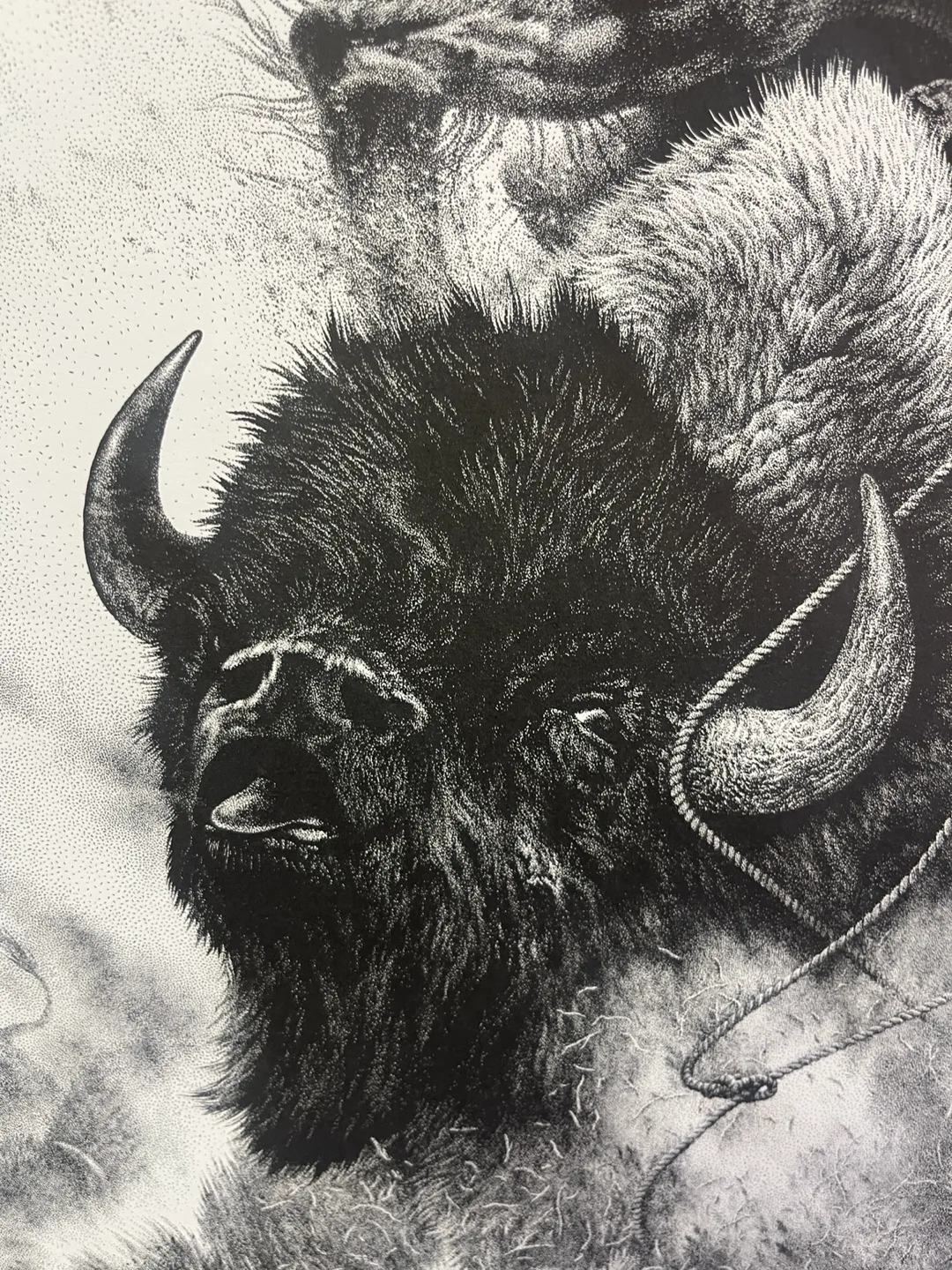 29x24 Western Lithograph framed image indicator(3)