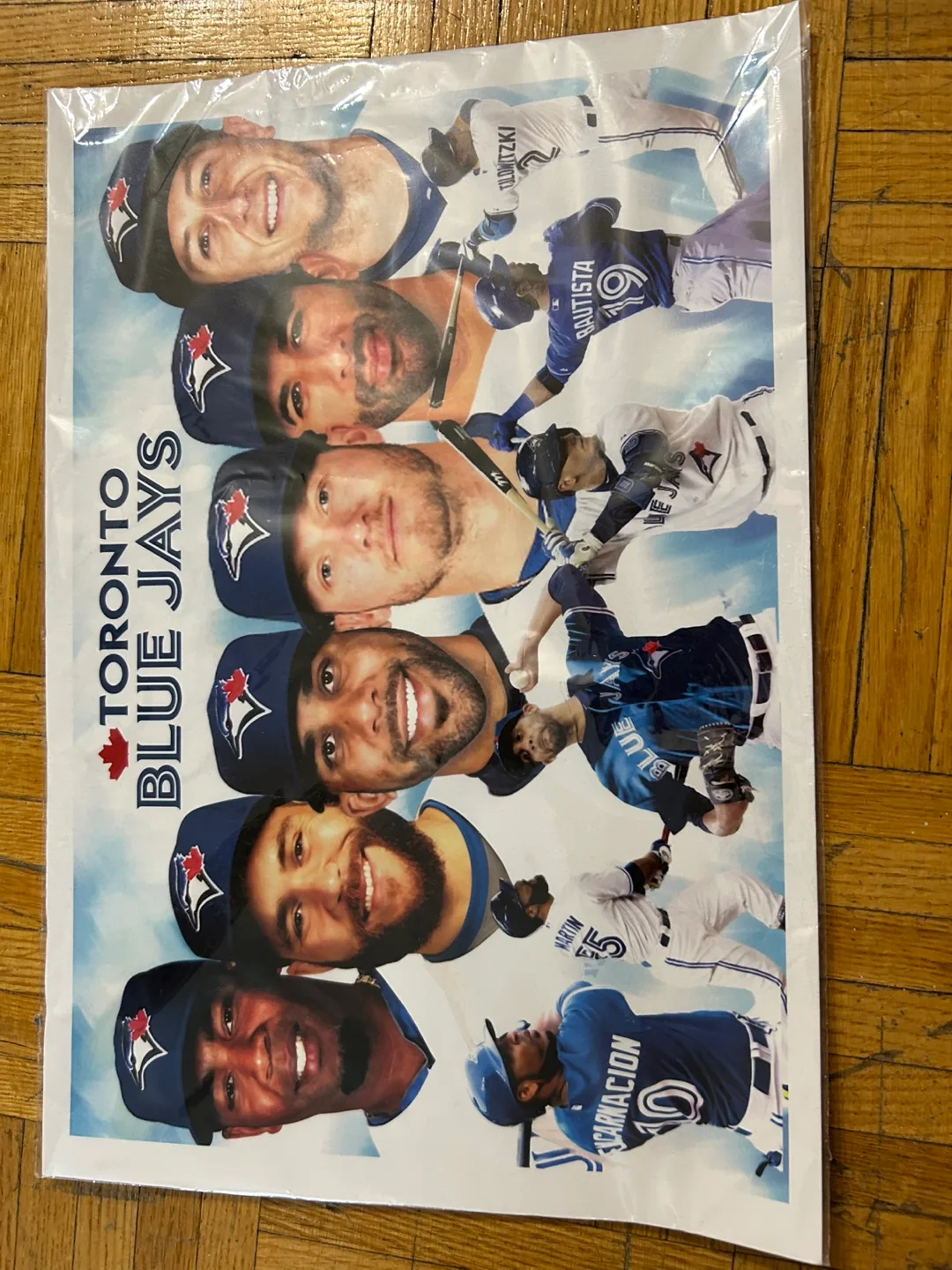 Toronto Blue Jays Poster thumbnail