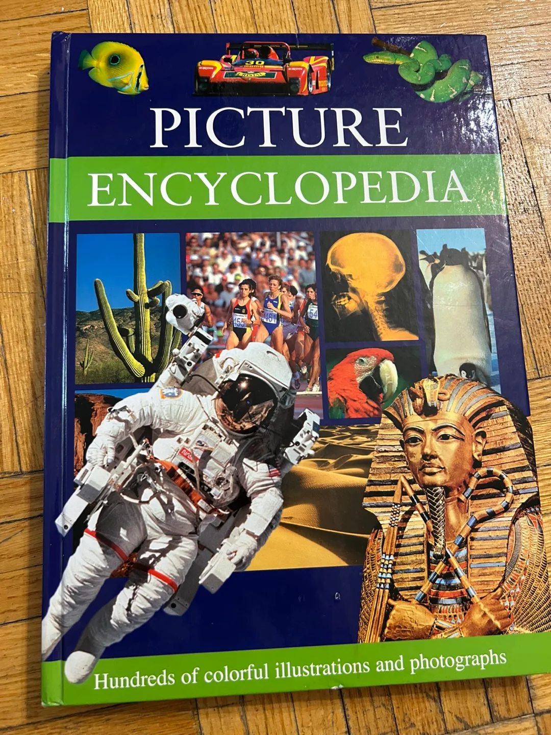 Picture Encyclopedia thumbnail