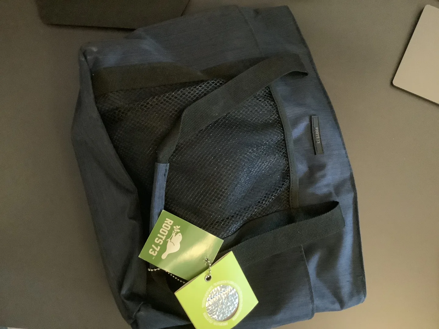 Roots 73 Blue Insulated Tote/Lunch Bag thumbnail