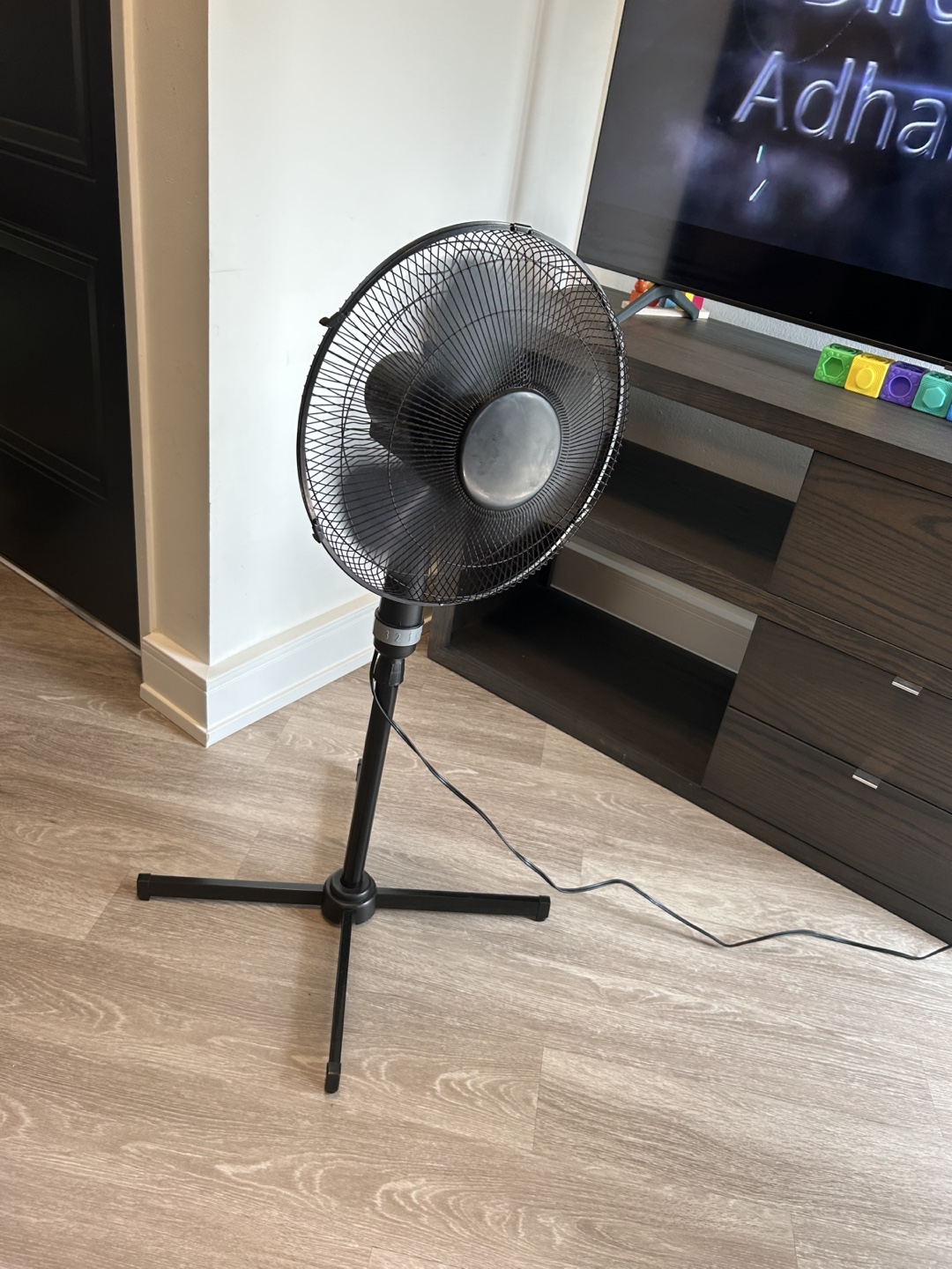 Black Pedestal Fan