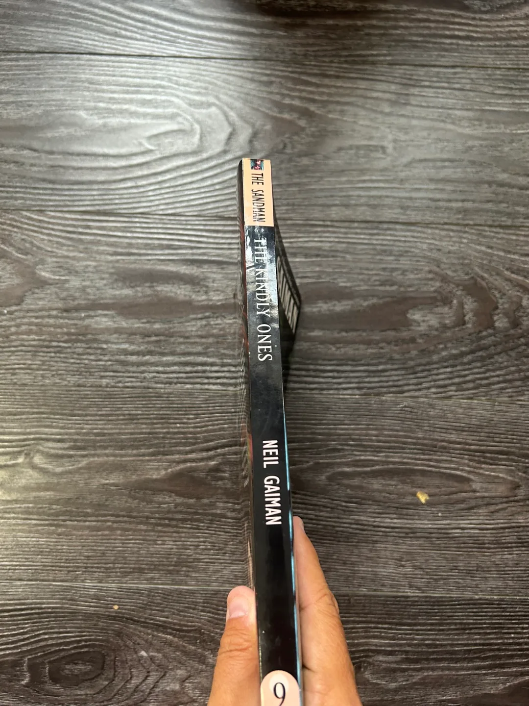 The Sandman: The Kindly Ones - Volume 9 image indicator(2)