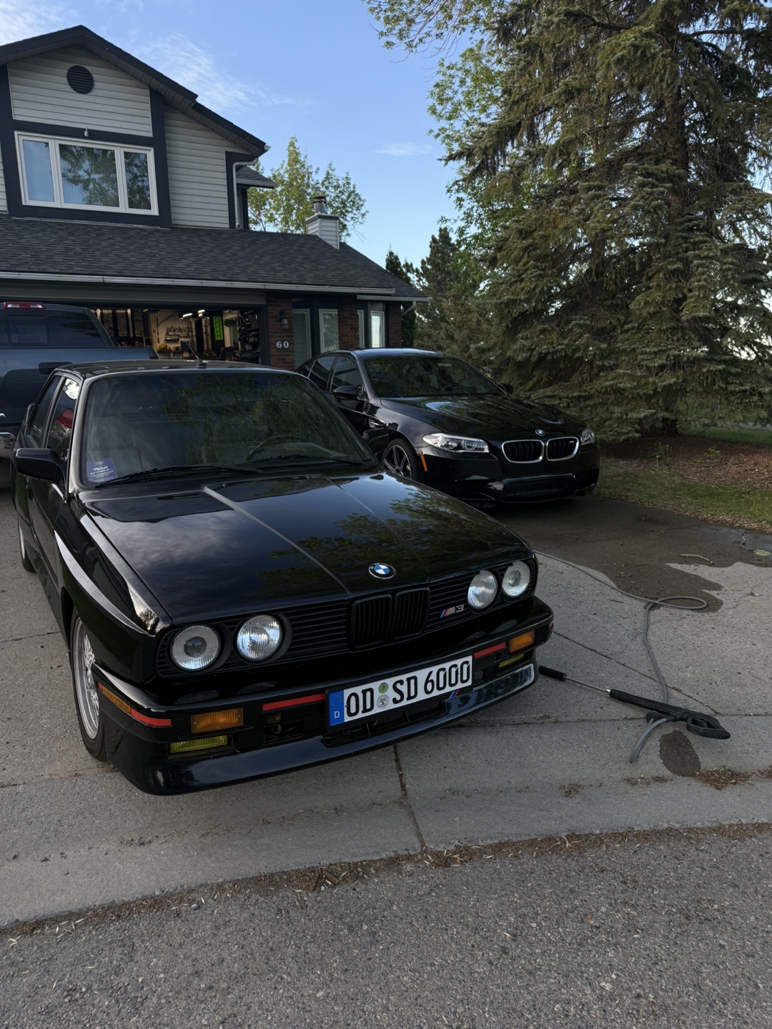 Car detail