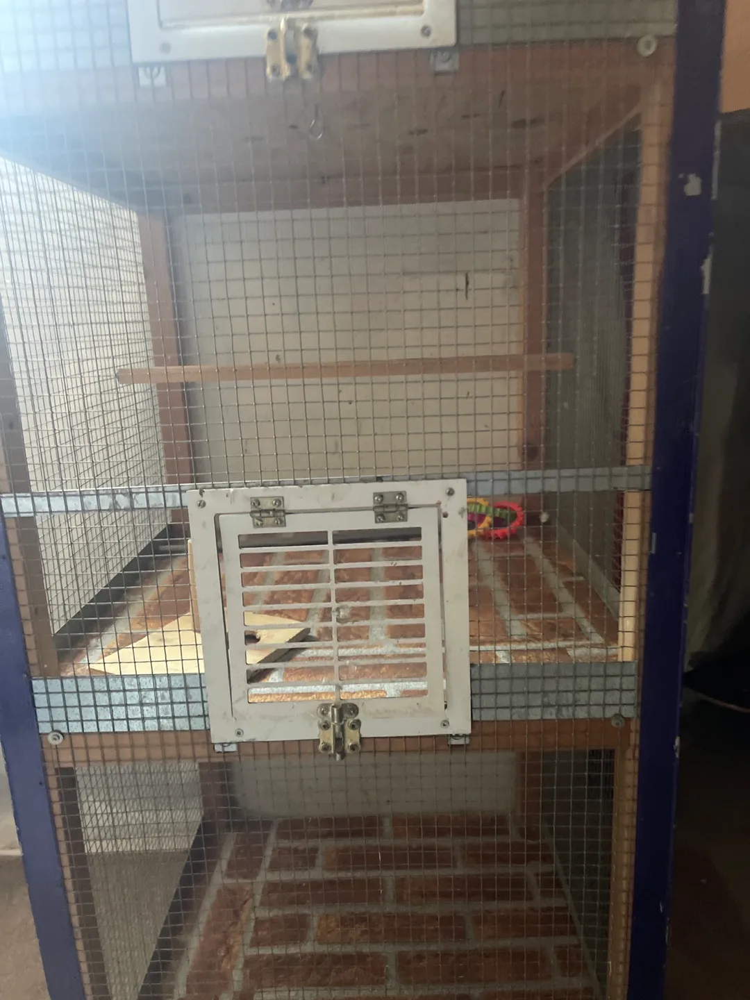 Three layered bird cage image indicator(3)