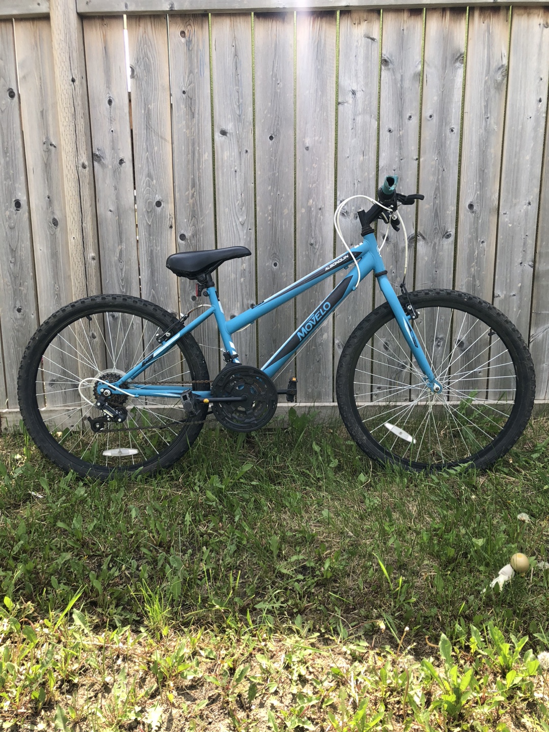 Movelo Algonquin Bike - 24 inches