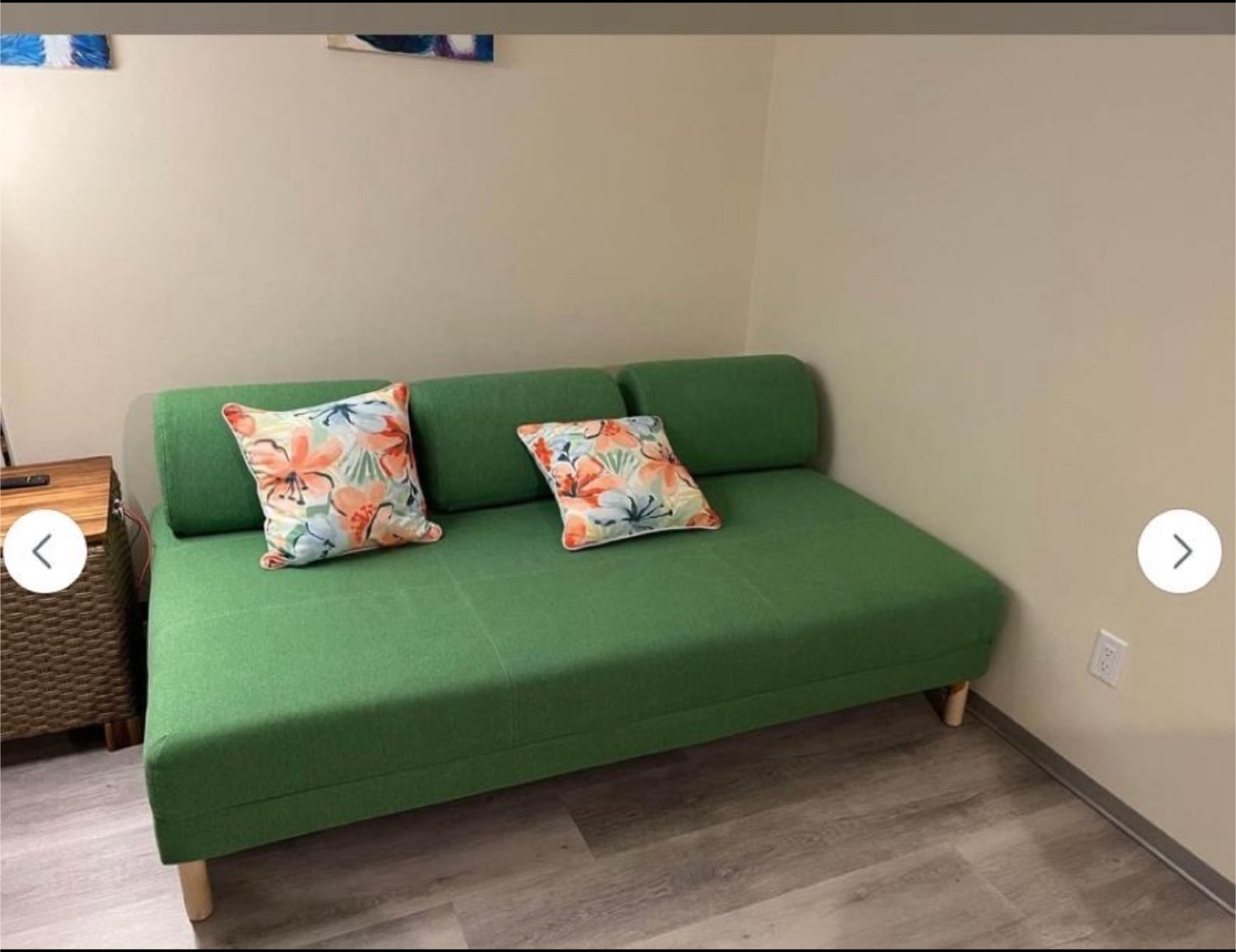 Green Futon Daybed