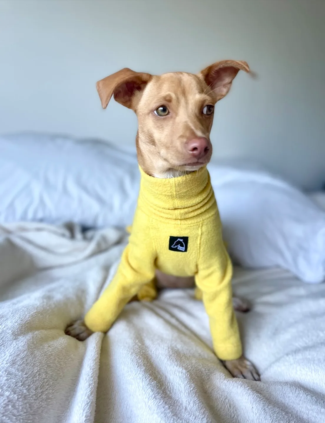 Yellow fleece onesie image indicator(2)