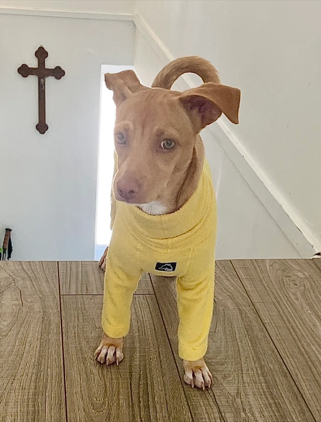 Yellow fleece onesie image indicator(3)