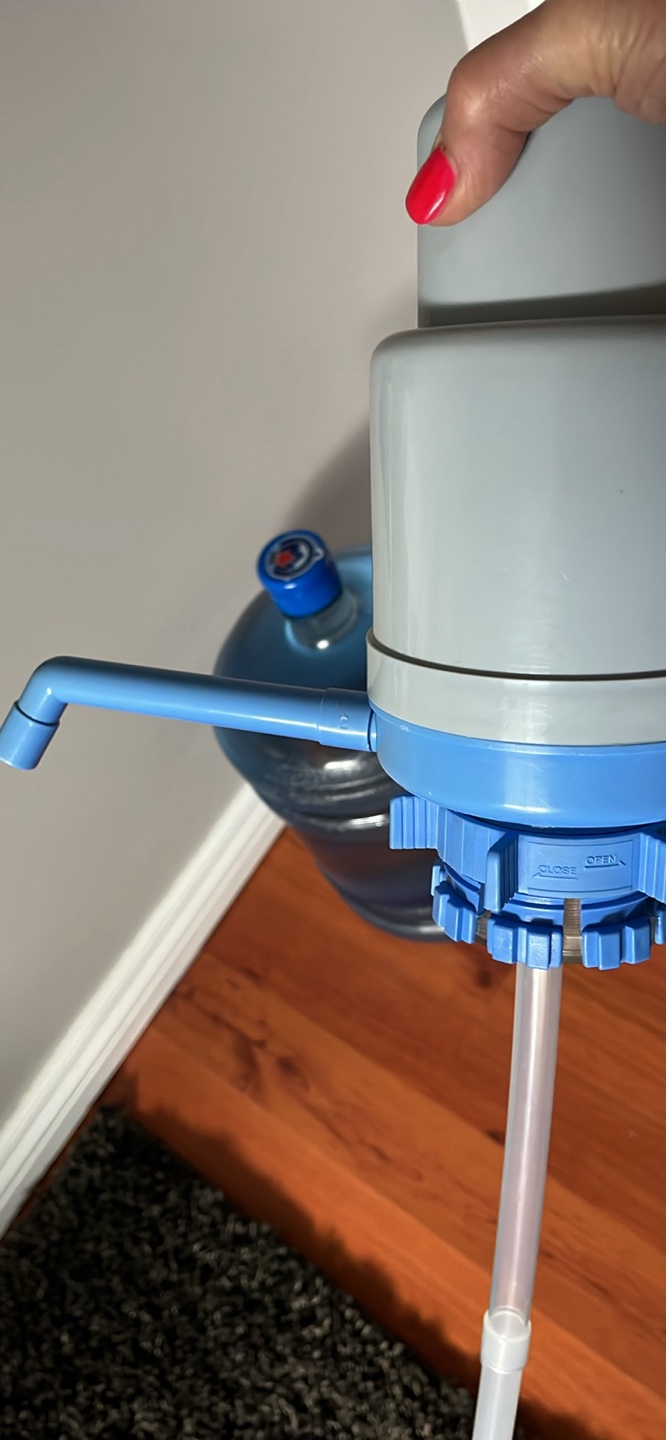 Dolphin Water Pump
