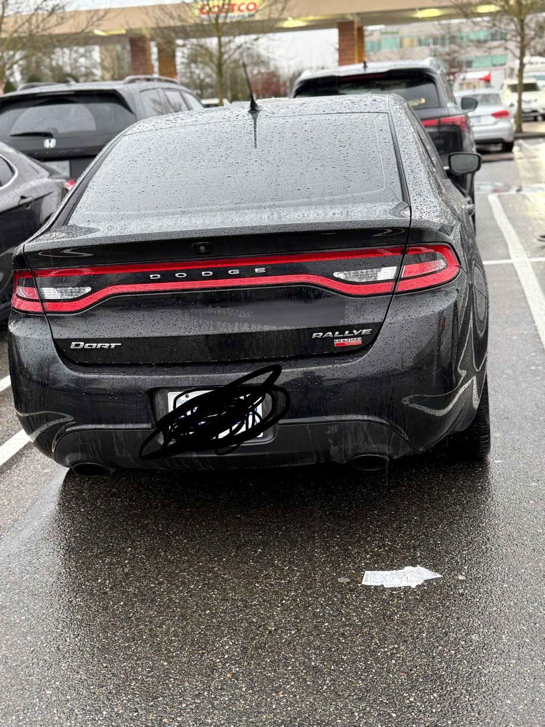 Dodge Dart rally - photo 3