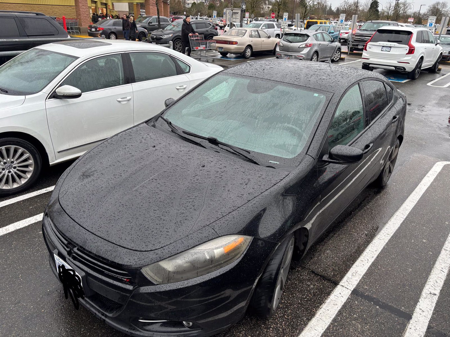 Dodge Dart rally - photo 2