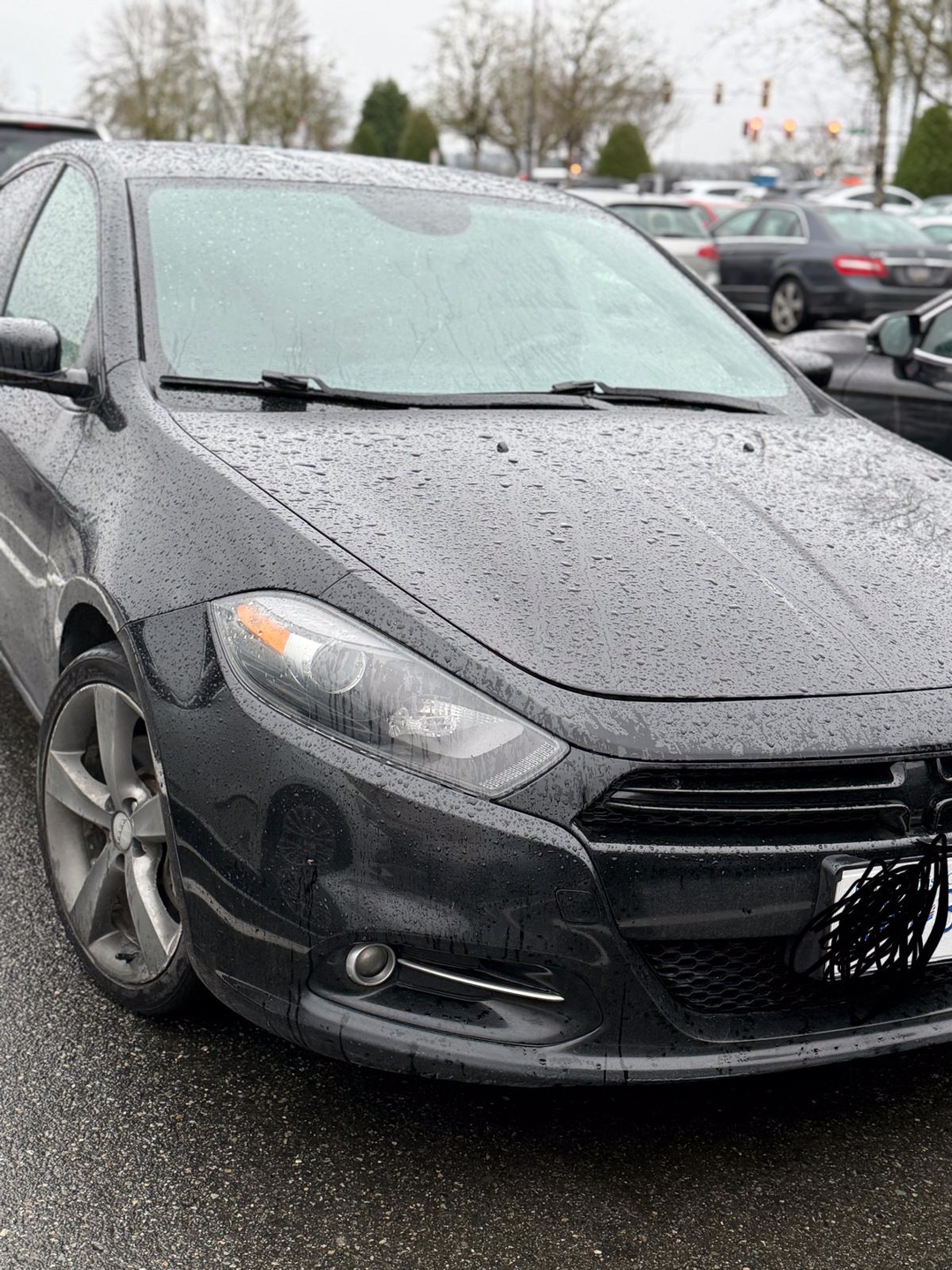Dodge Dart rally - photo 5