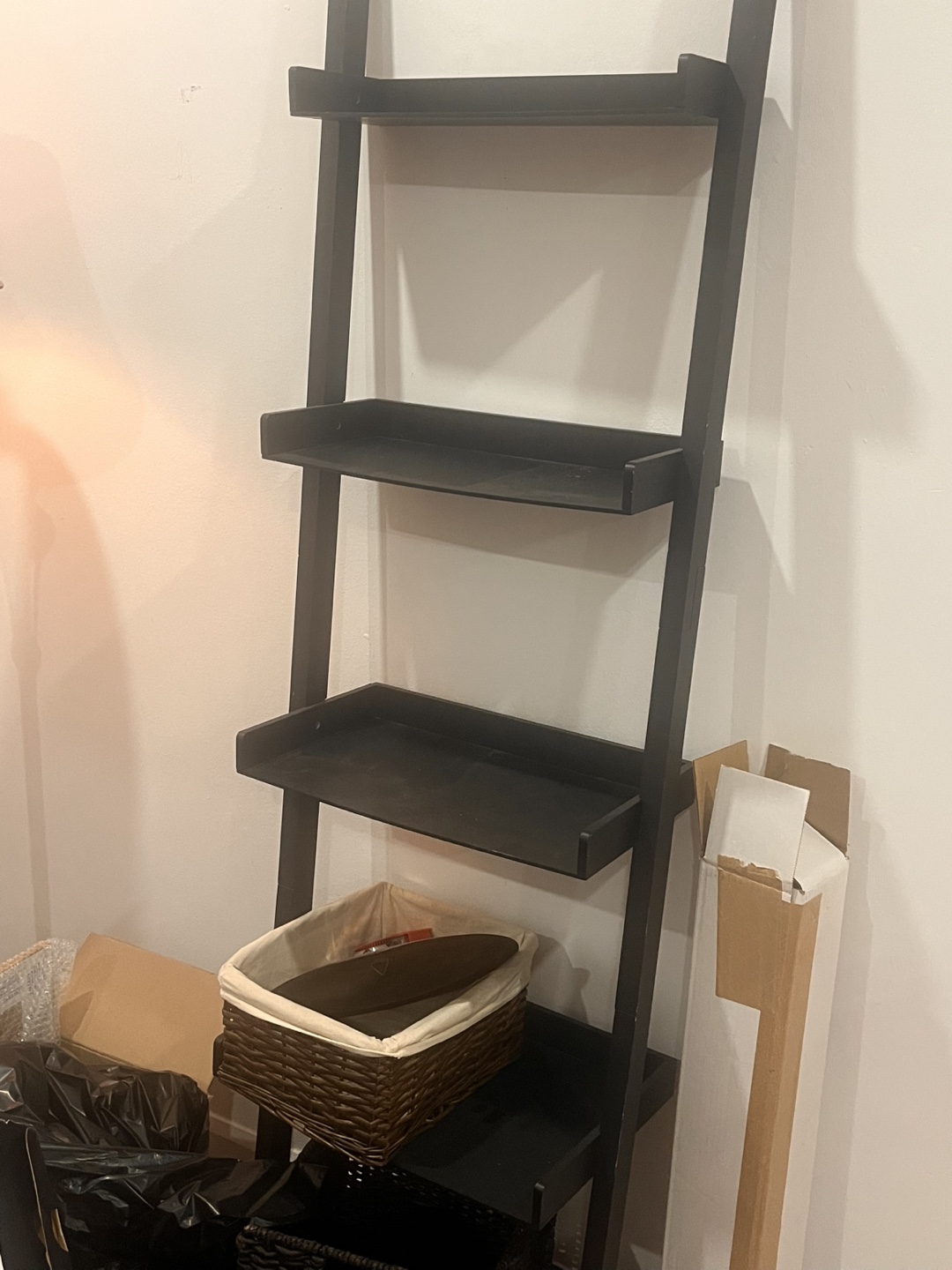 Black Ladder Bookshelf