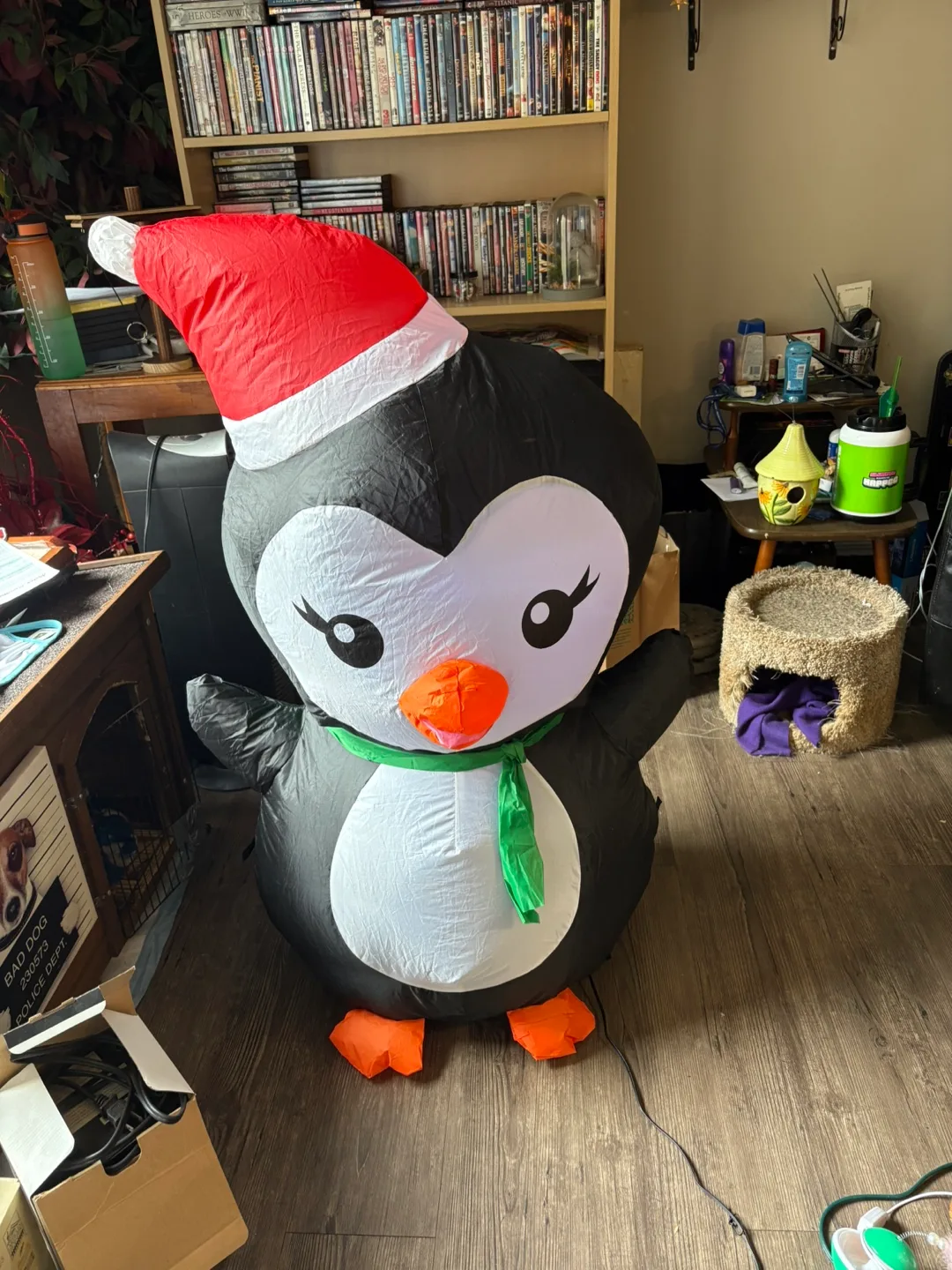 Inflatable Christmas Penguin 💚 thumbnail