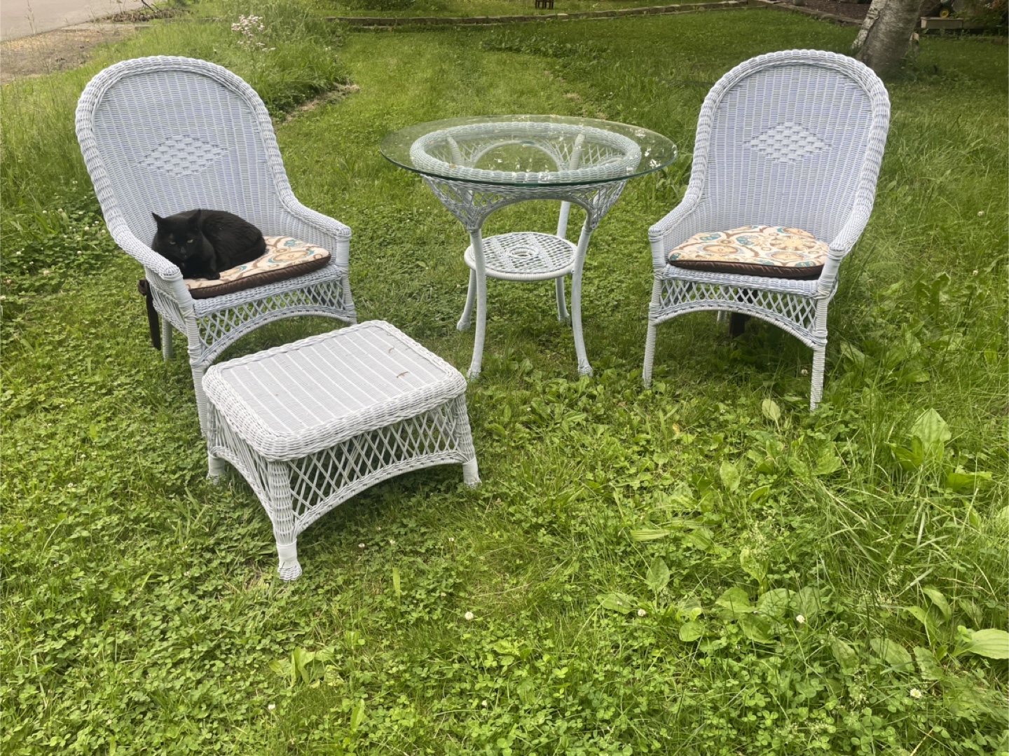 Wicker Patio Set