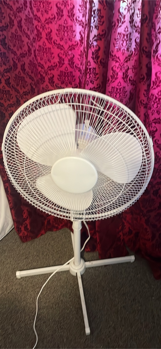White Standing Fan