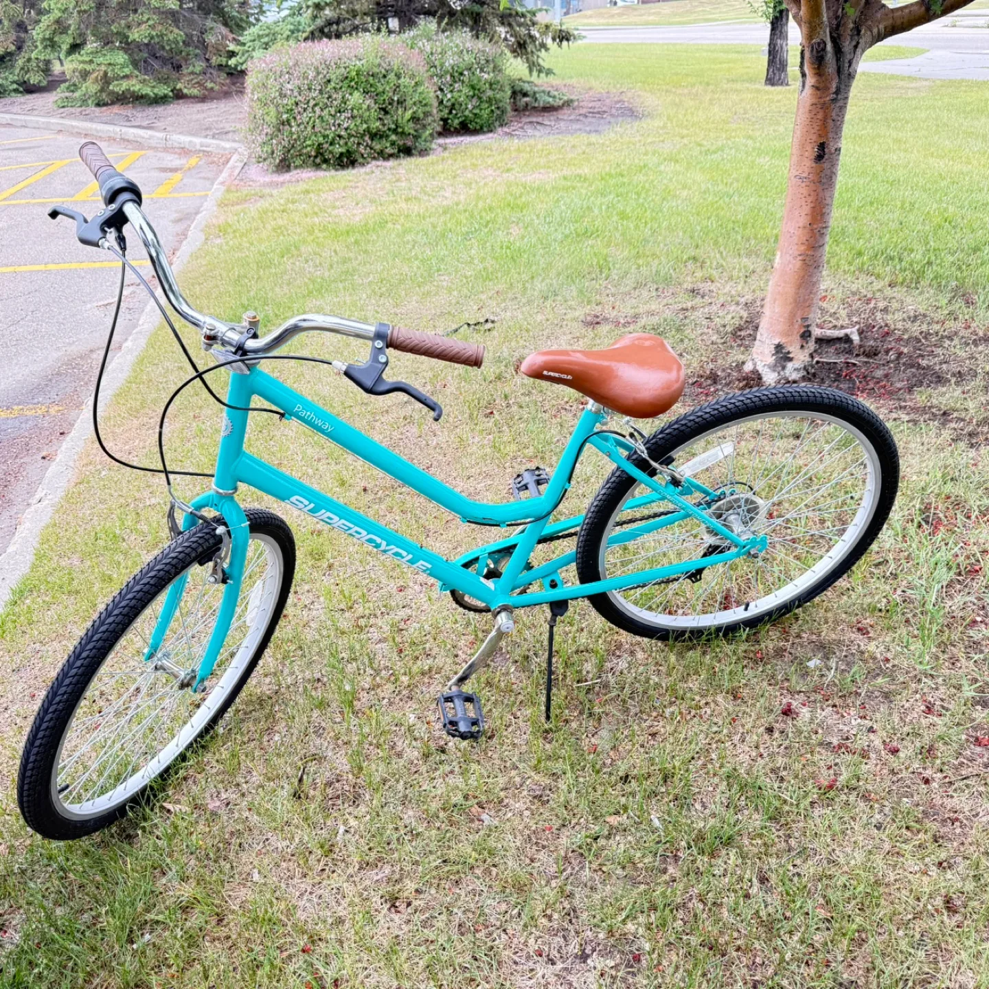 Supercycle Pathway Beach Cruiser thumbnail