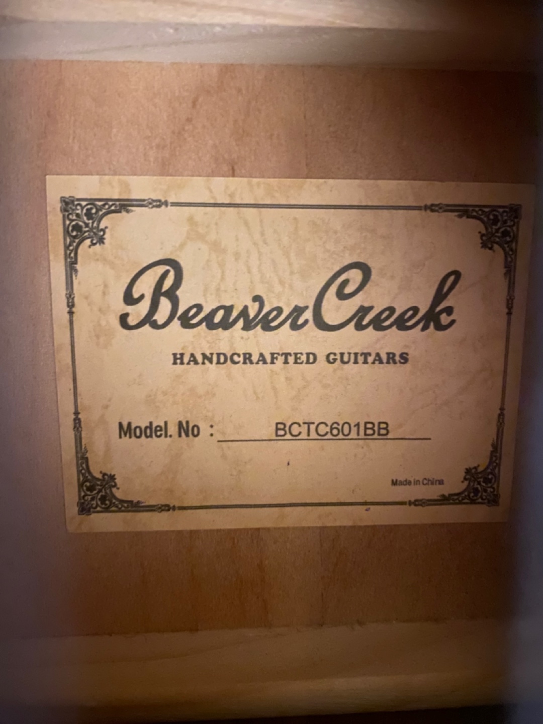 Beaver Creek Acoustic Guitar - photo 3