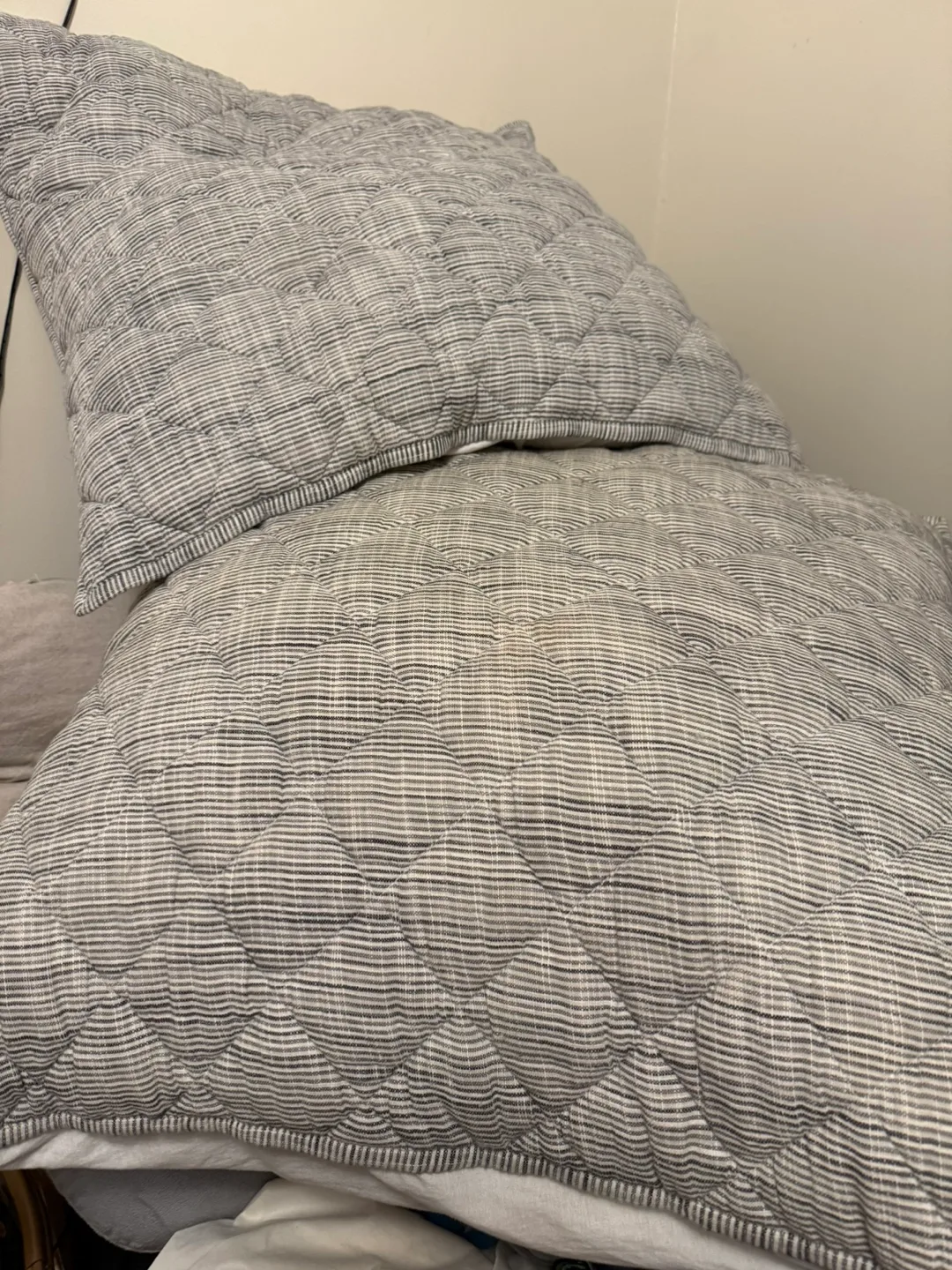 2 Pottery Barn Comforter and Pillow Set image indicator(2)