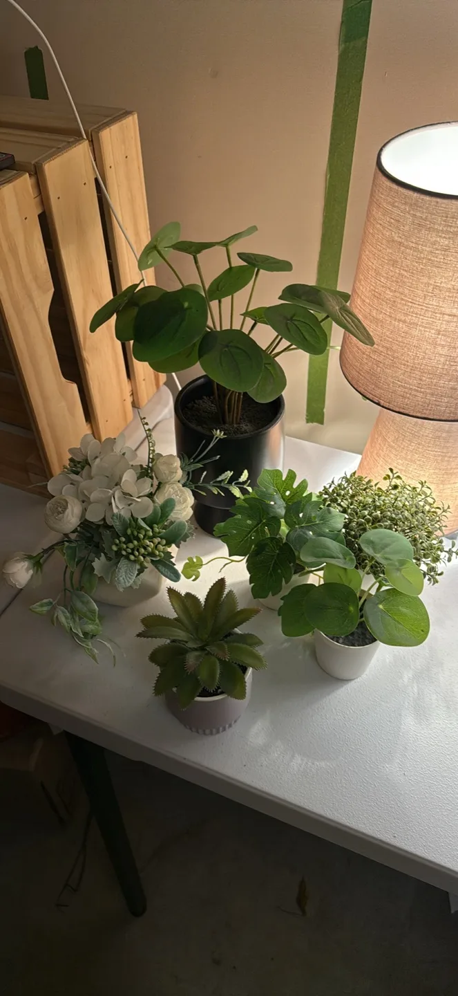 Artificial plants (bundle) thumbnail