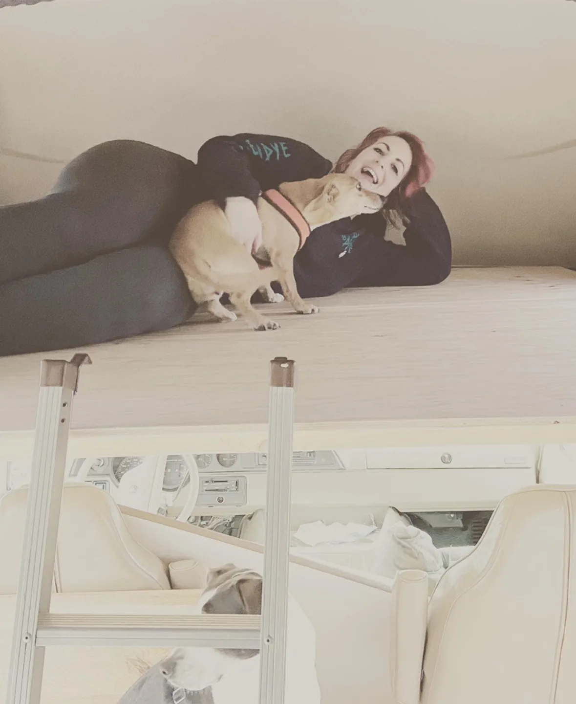 Vintage Dodge Ram Campervan image indicator(8)