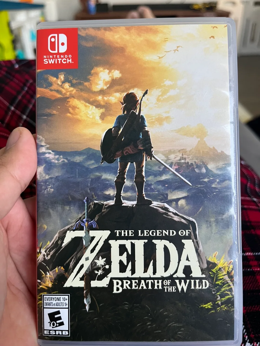 Nintendo Switch Zelda BOTW