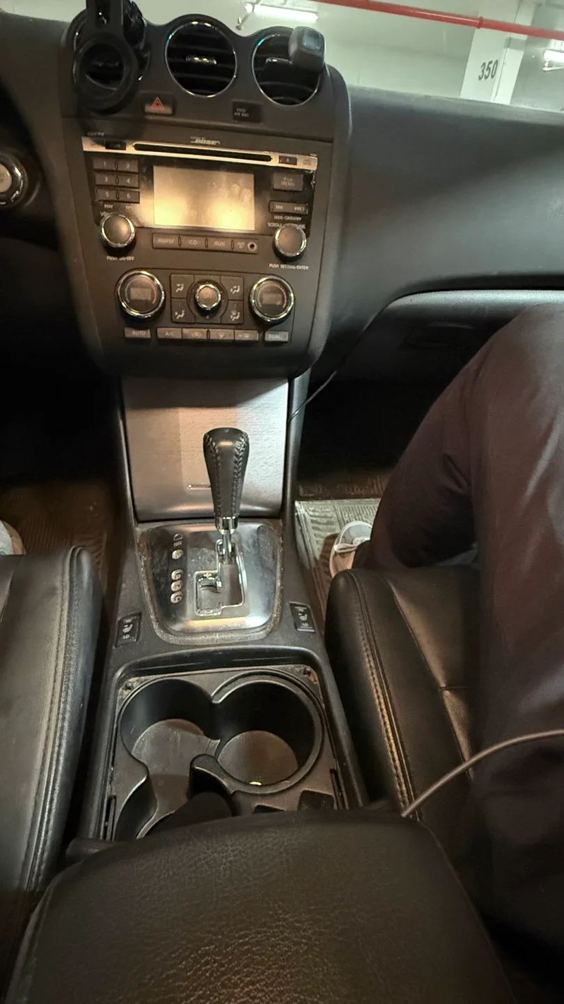 2010 Nissan Altima image indicator(8)