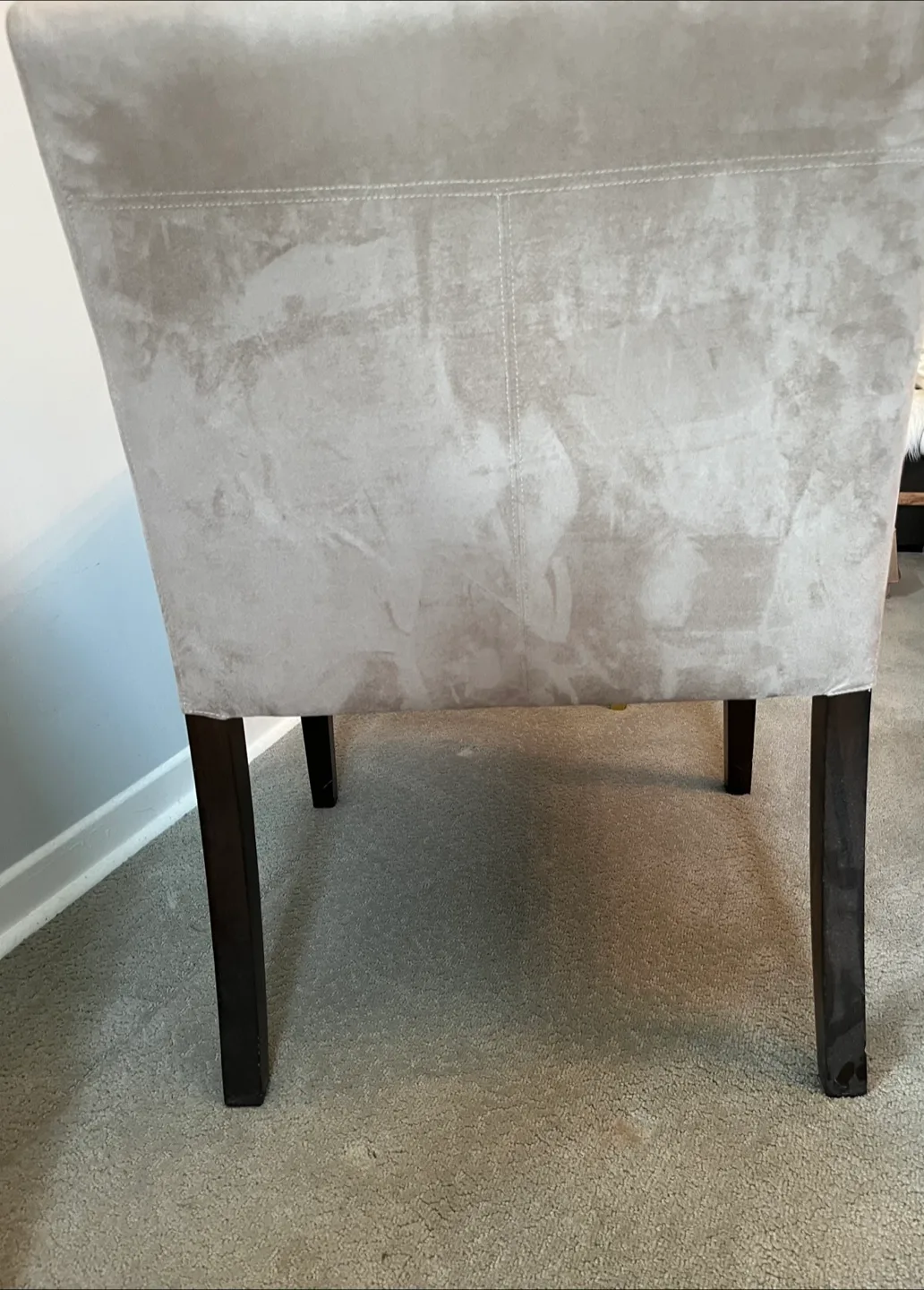 Armchair 🥕 image indicator(4)