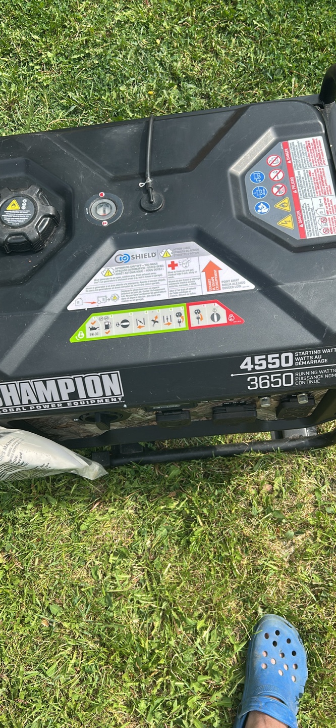 Champion Generator - photo 4