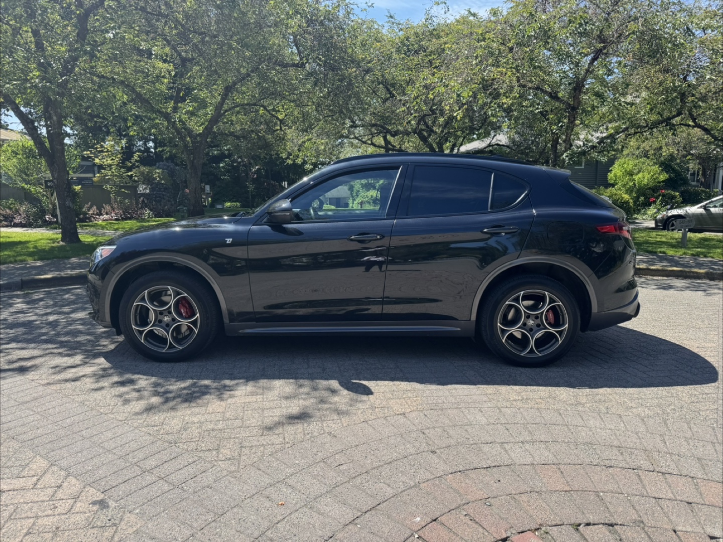 2023 Alfa Romeo Stelvio Ti - photo 2
