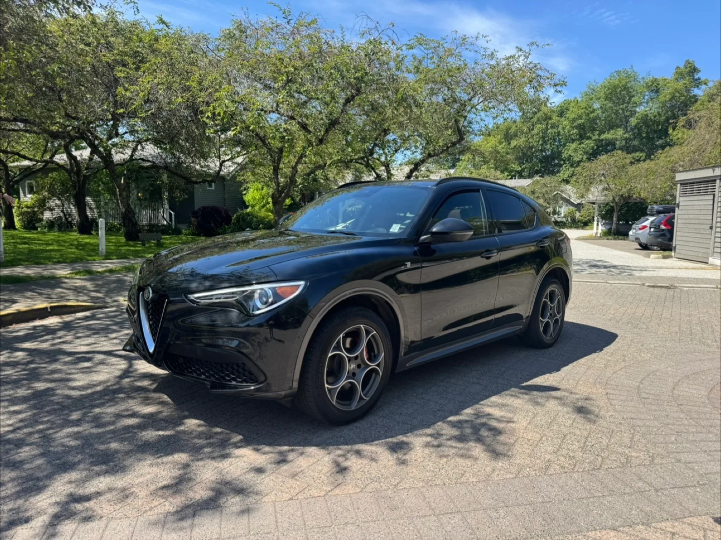 2023 Alfa Romeo Stelvio Ti thumbnail