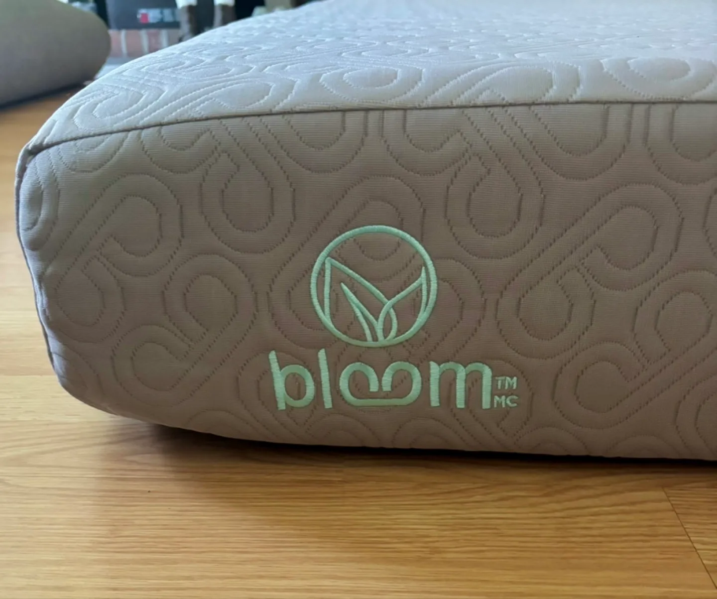 Bloom Twin Mattress image indicator(2)