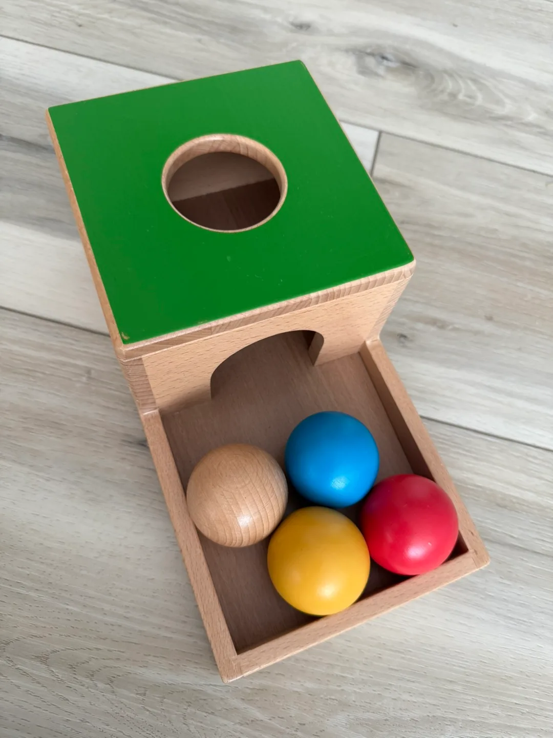 Clever Pup Montessori Play (6-9M)- Wooden Educational Toys image indicator(5)