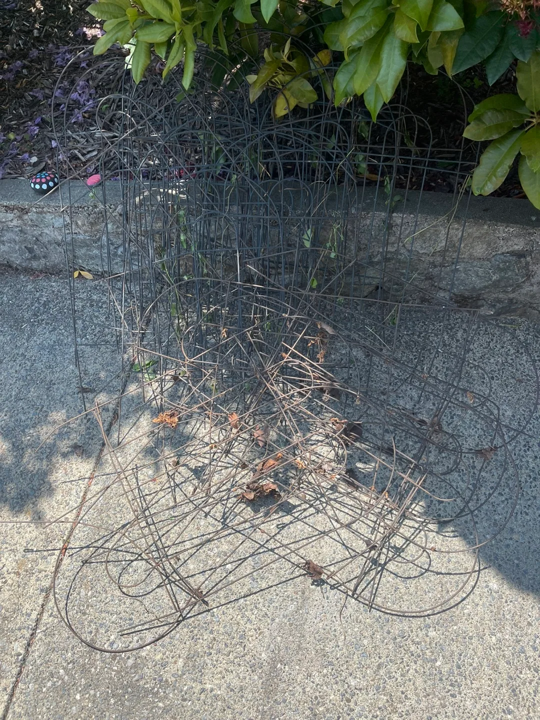 FREE Metal Plant fencing. Approx 25 pieces. FCFS. thumbnail