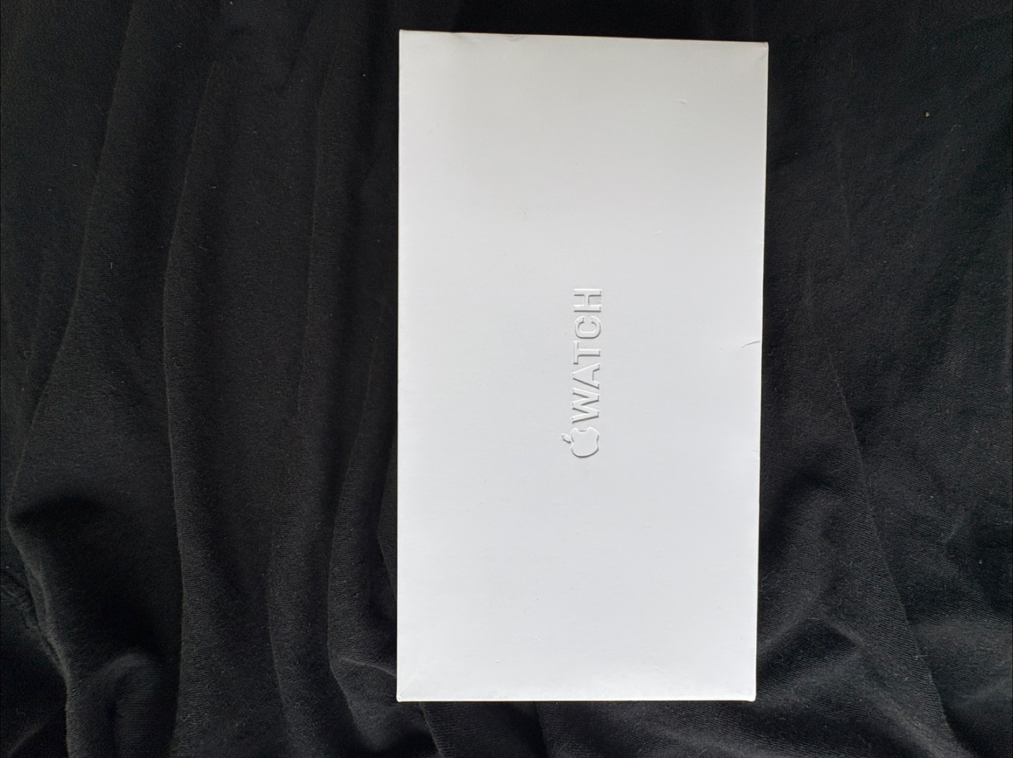 Apple Watch Ultra 2 49mm Titanium Case with Black Ocean band